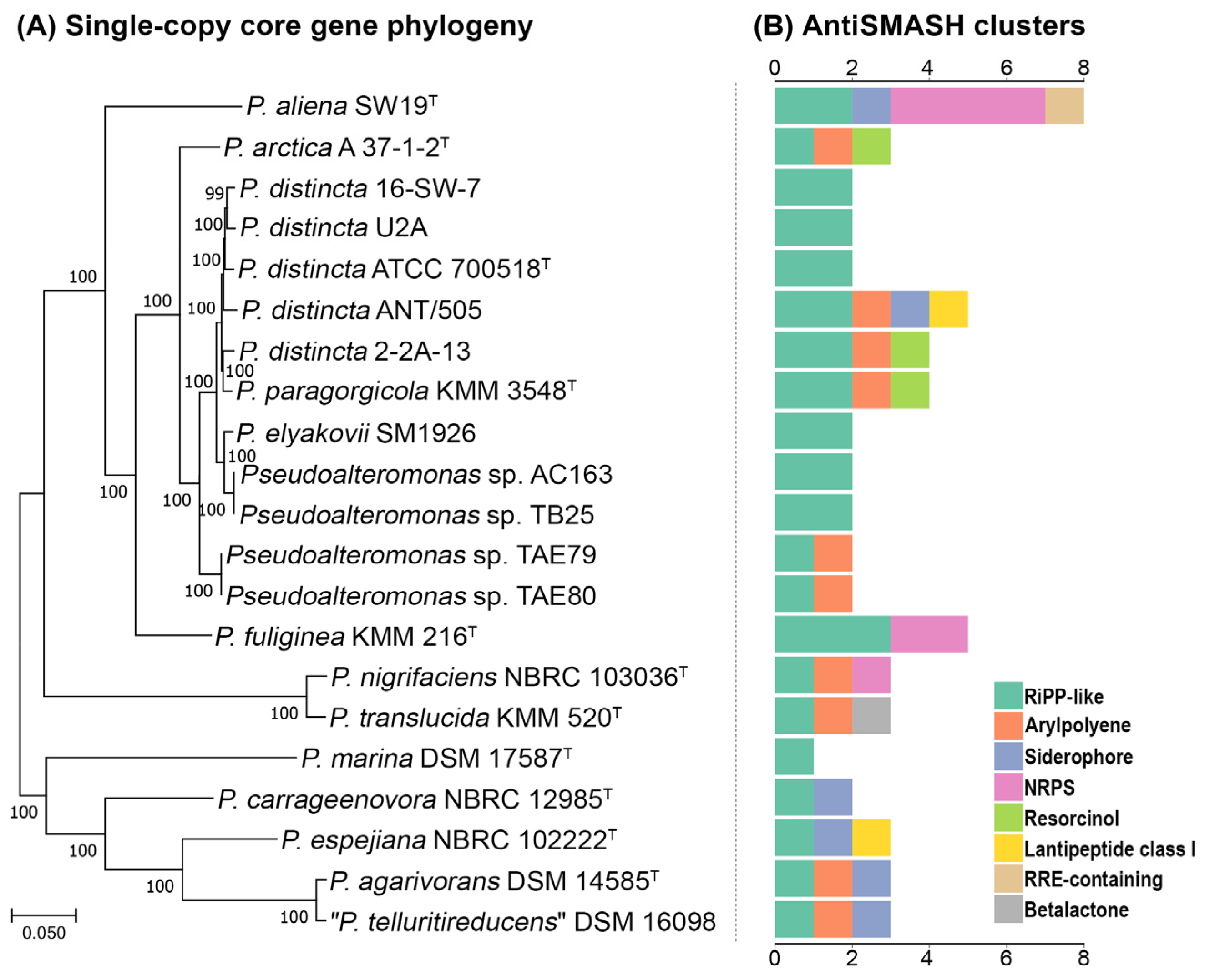 Ijms 24 04158 g005 Ijms 24 04158 g005