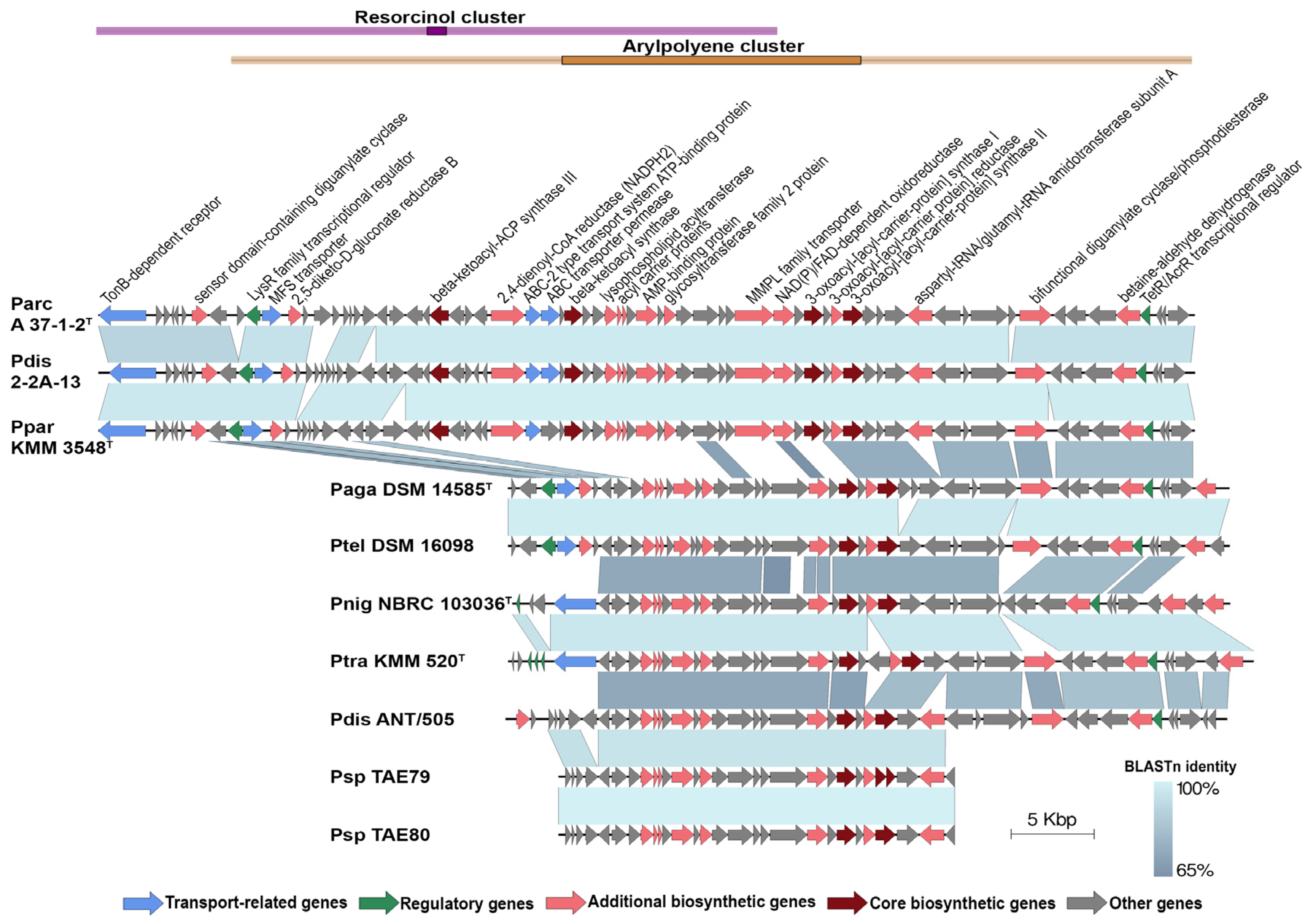 Ijms 24 04158 g007 Ijms 24 04158 g007