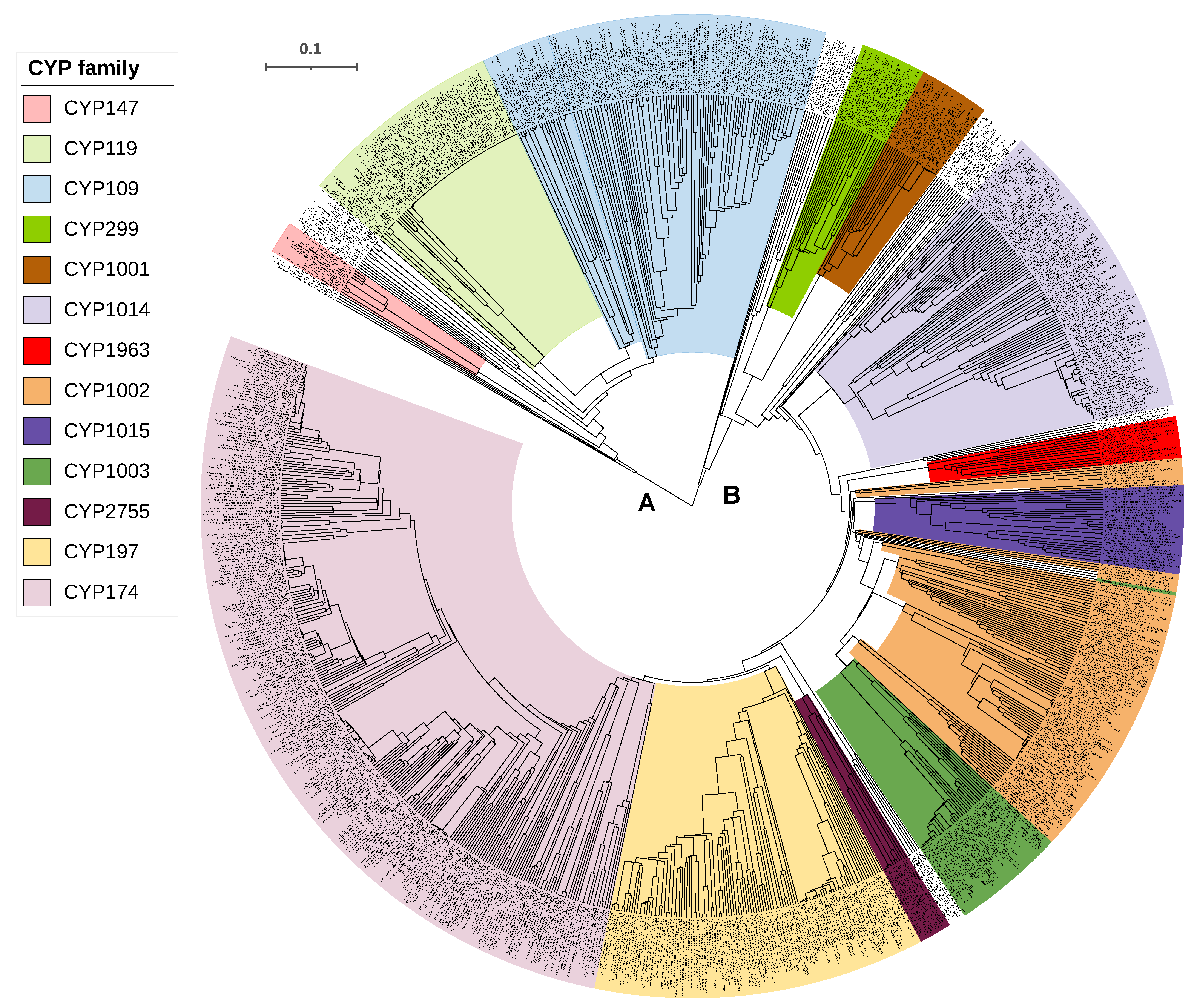 Ijms 24 04161 g001 Ijms 24 04161 g001