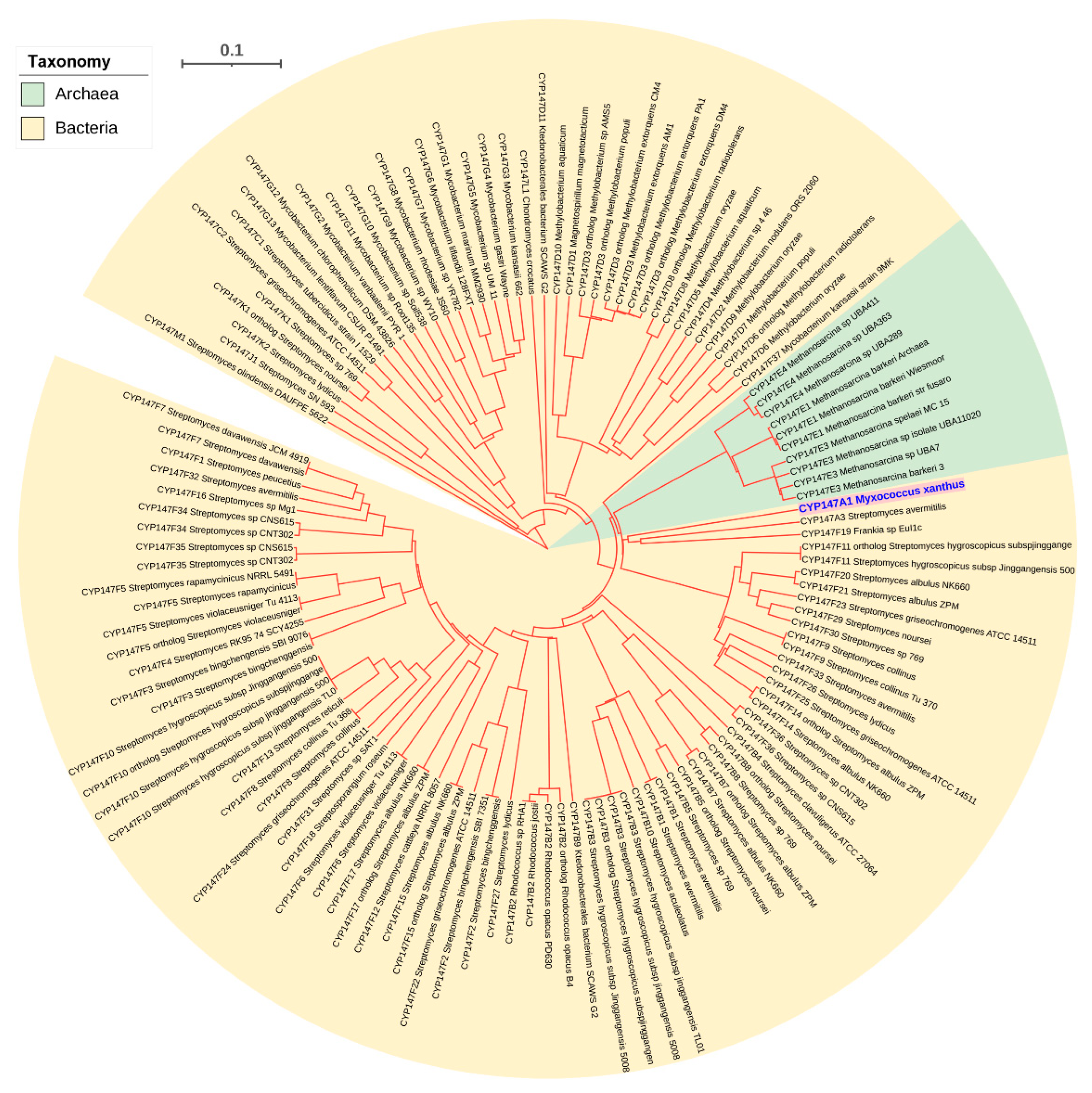 Ijms 24 04161 g005 Ijms 24 04161 g005