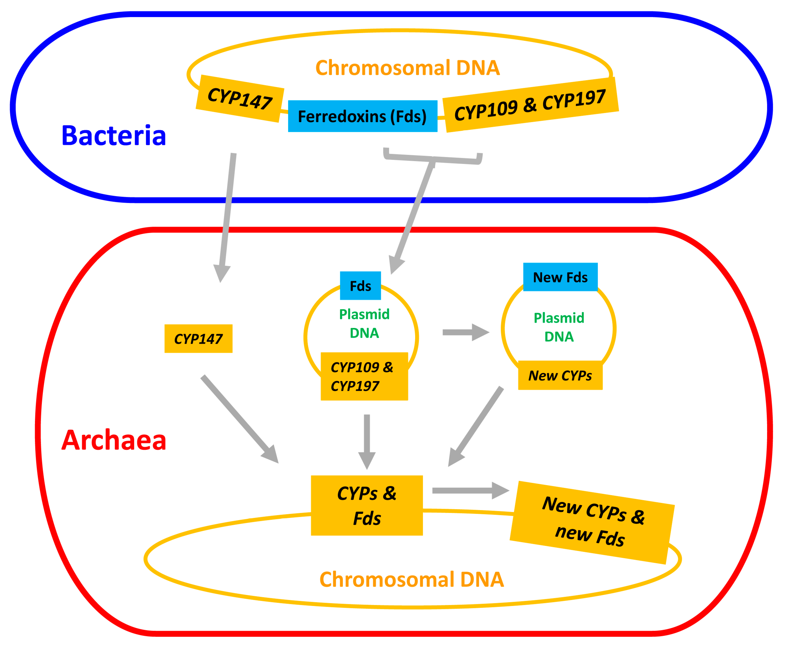 Ijms 24 04161 g007 Ijms 24 04161 g007