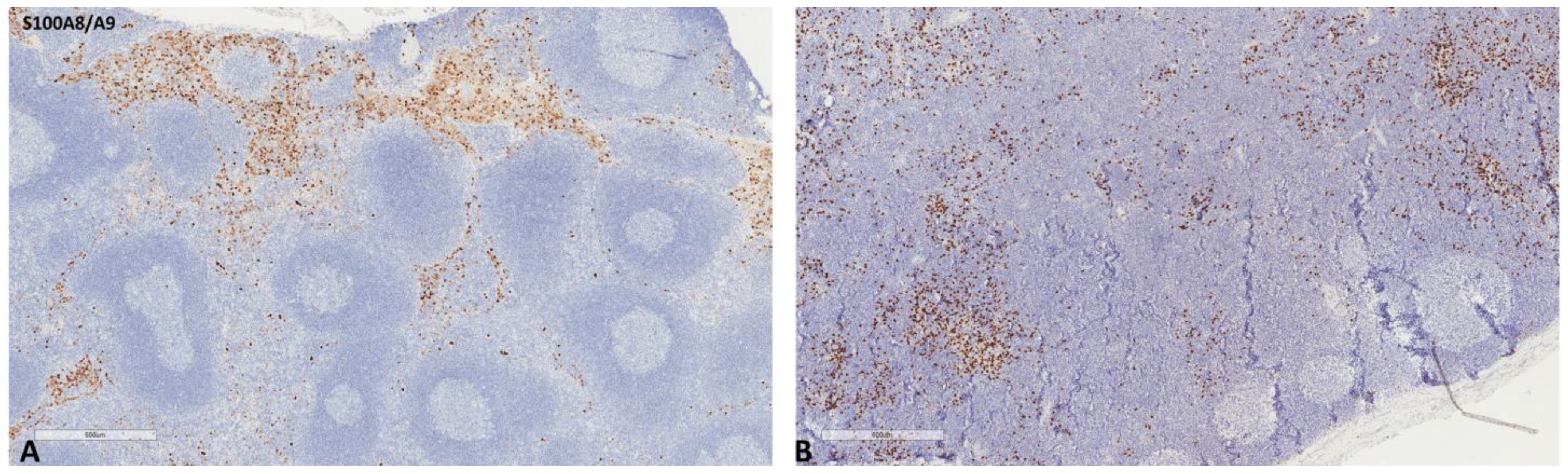 Ijms 24 04171 g001 Ijms 24 04171 g001