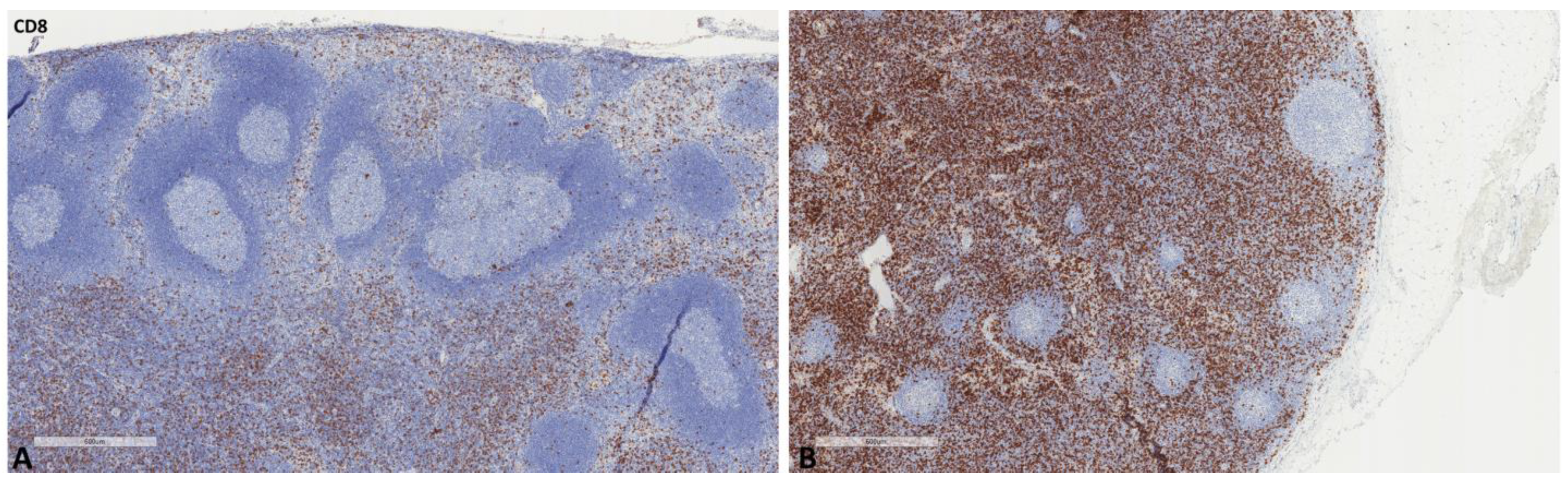 Ijms 24 04171 g002 Ijms 24 04171 g002