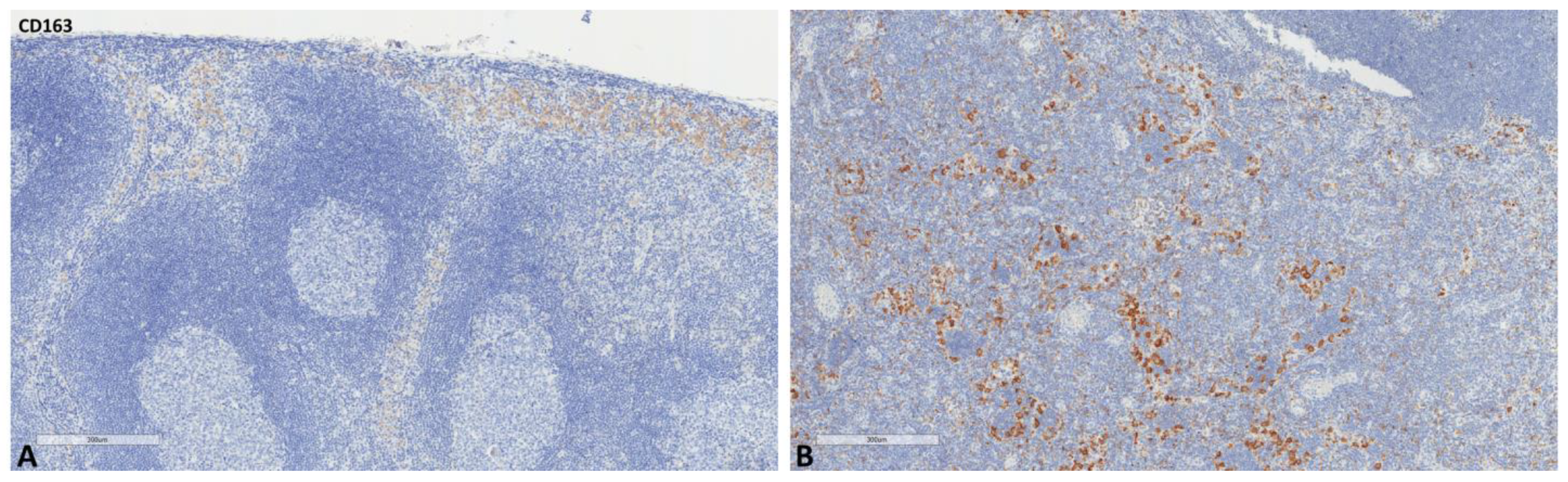 Ijms 24 04171 g003 Ijms 24 04171 g003