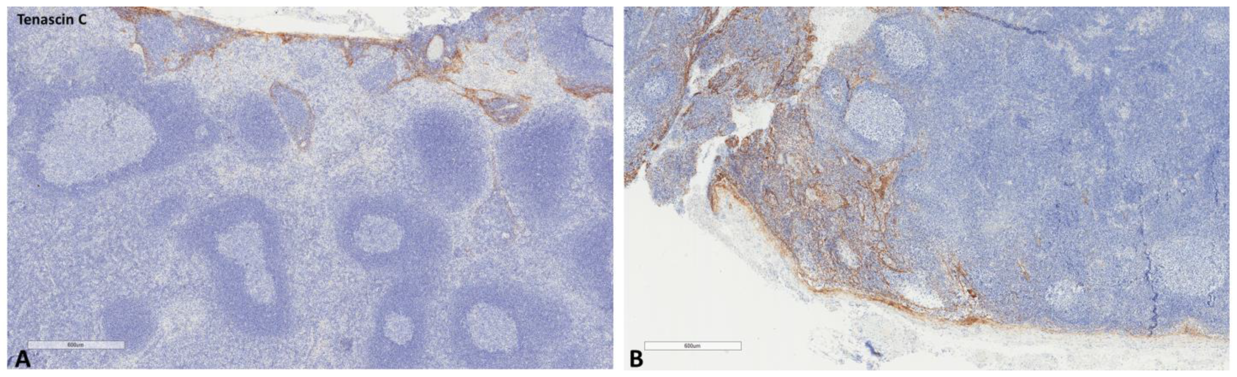 Ijms 24 04171 g006 Ijms 24 04171 g006