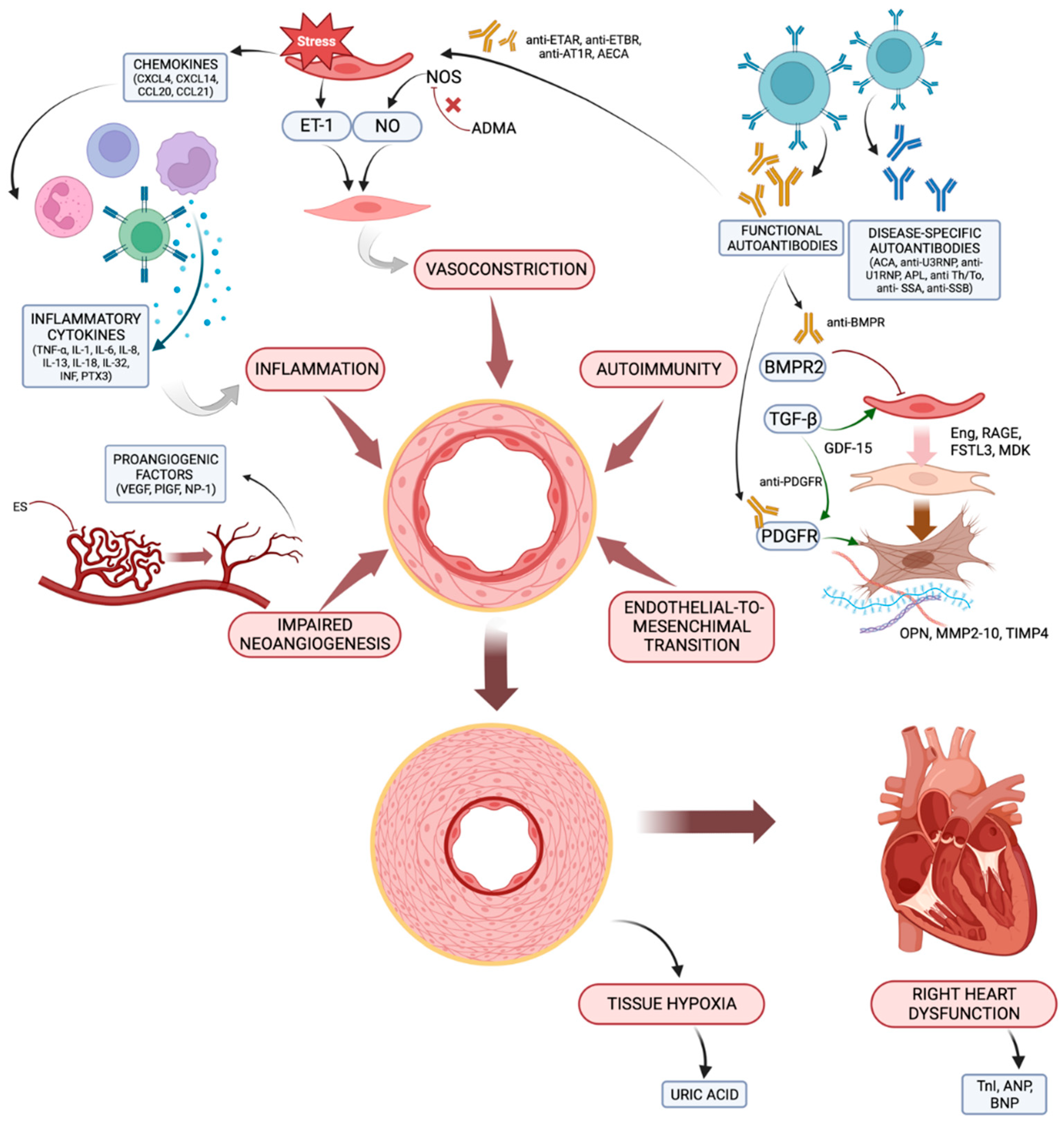 Ijms 24 04178 g001 Ijms 24 04178 g001