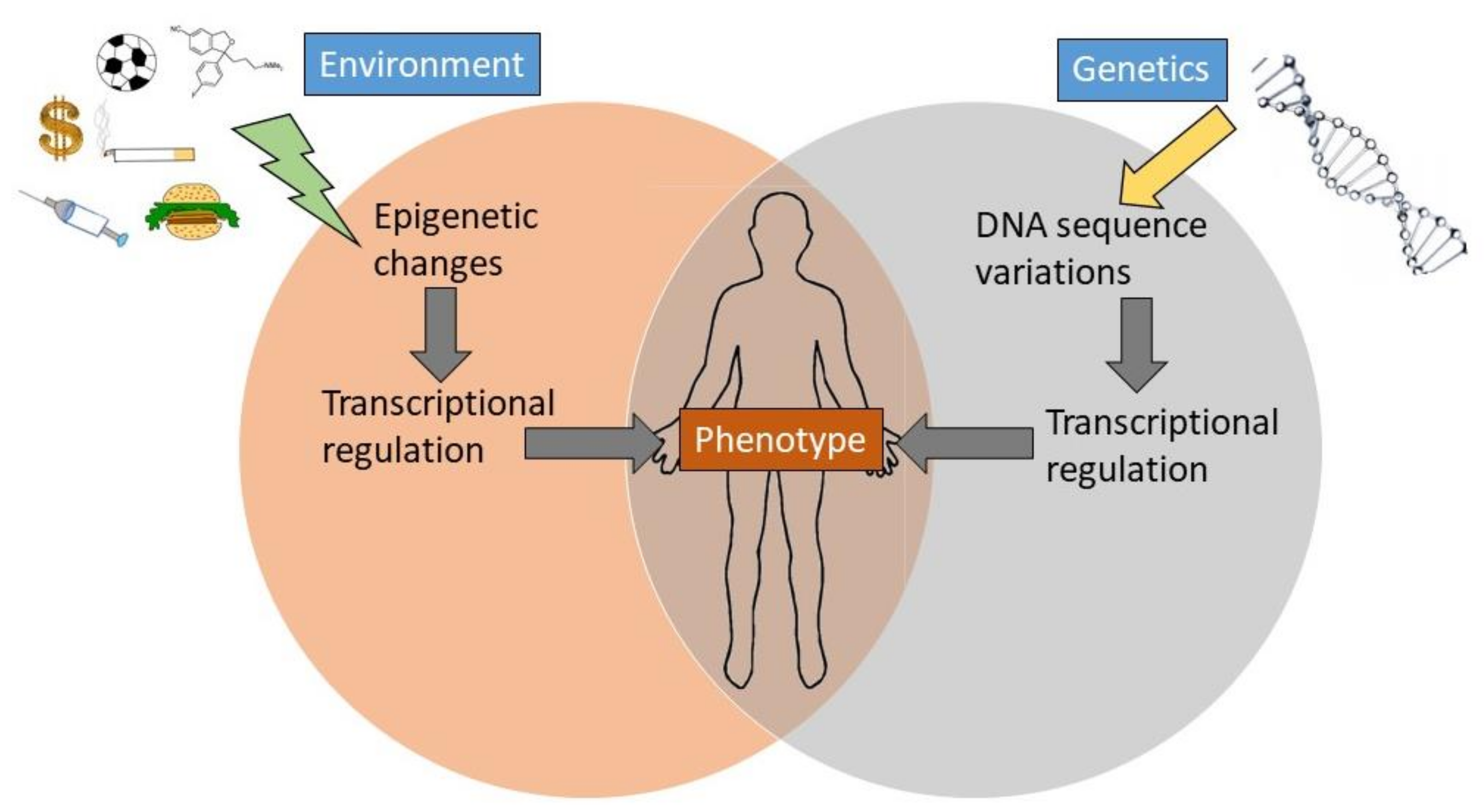 Ijms 24 04179 g002 Ijms 24 04179 g002
