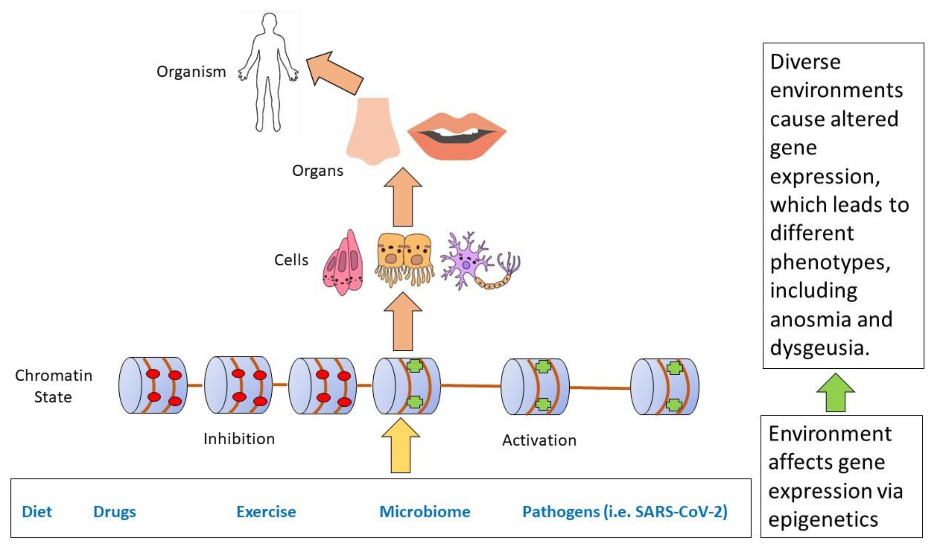 Ijms 24 04179 g003 Ijms 24 04179 g003