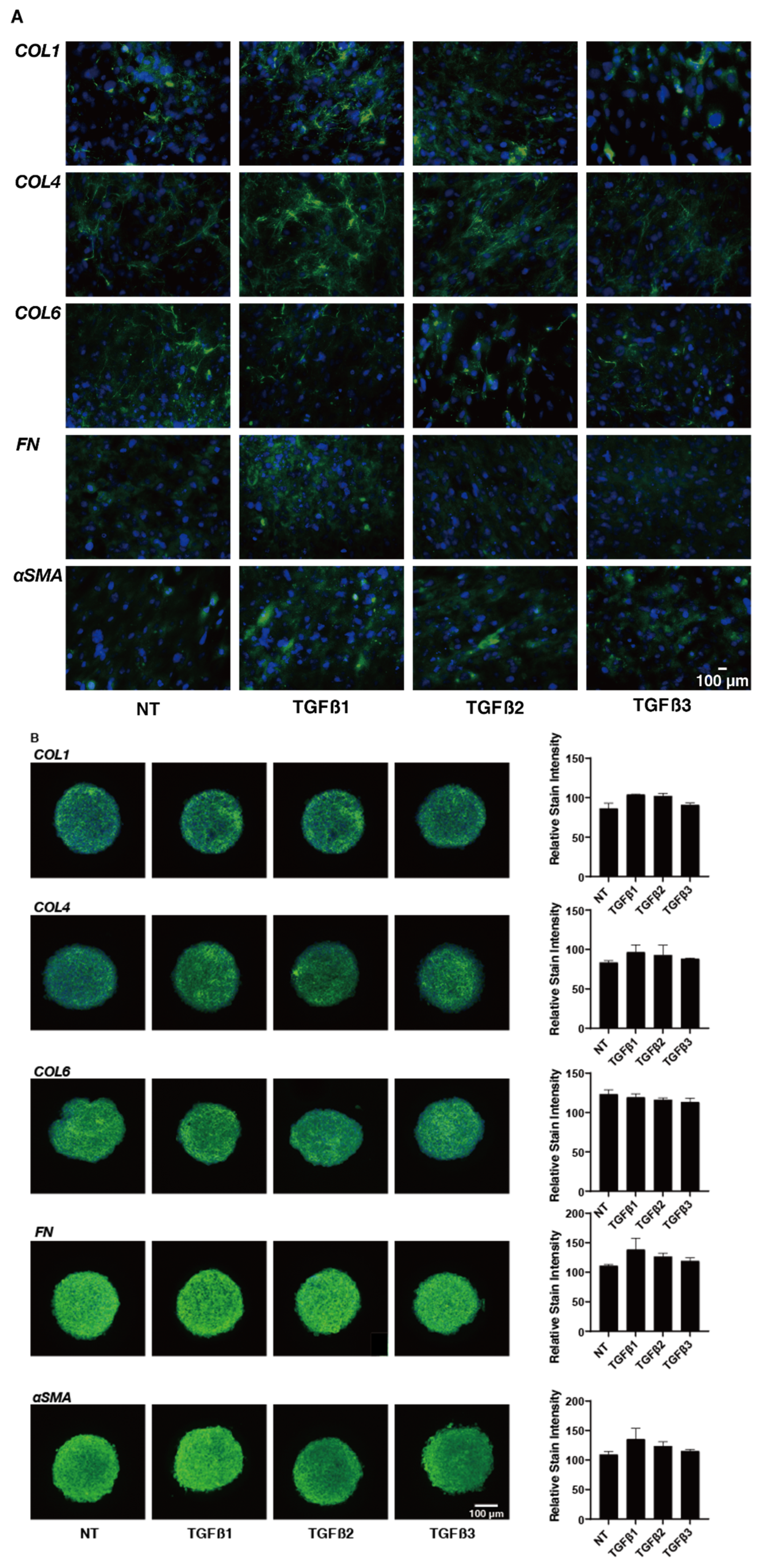 Ijms 24 04181 g005 Ijms 24 04181 g005