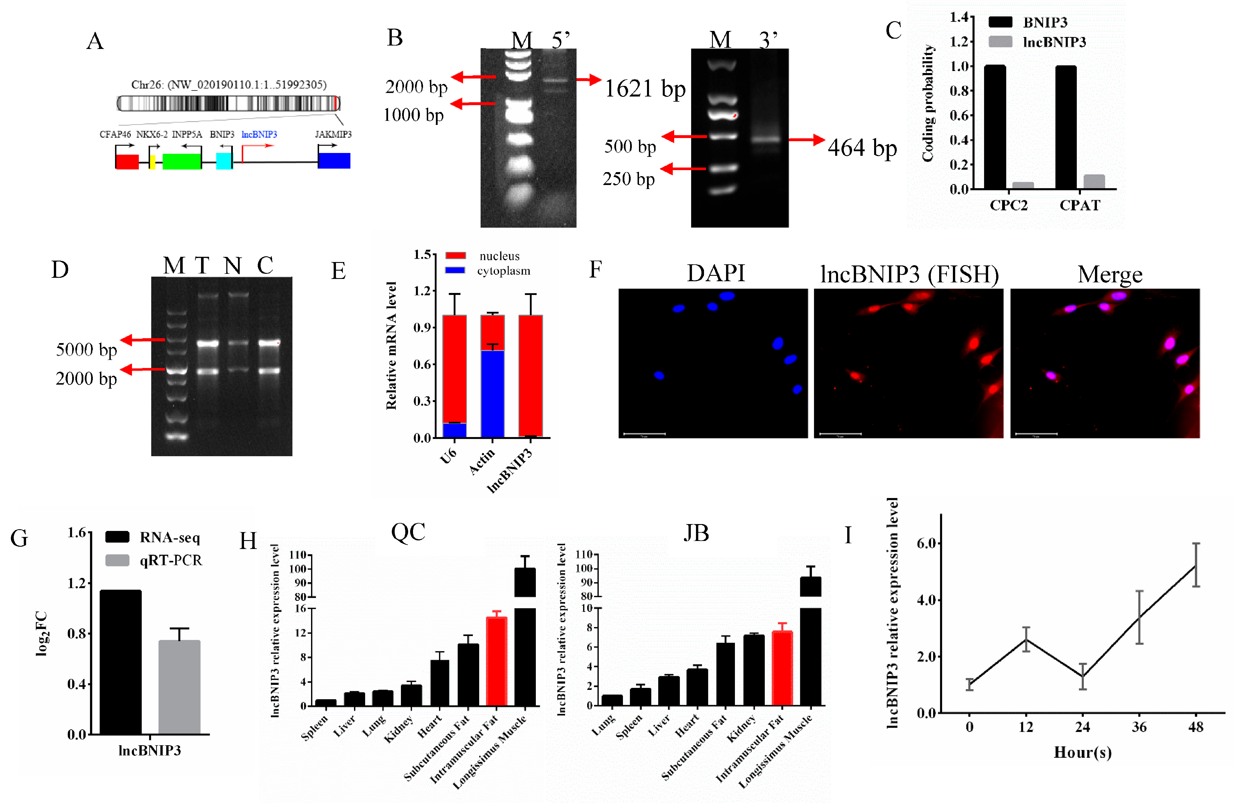 Ijms 24 04234 g001 Ijms 24 04234 g001