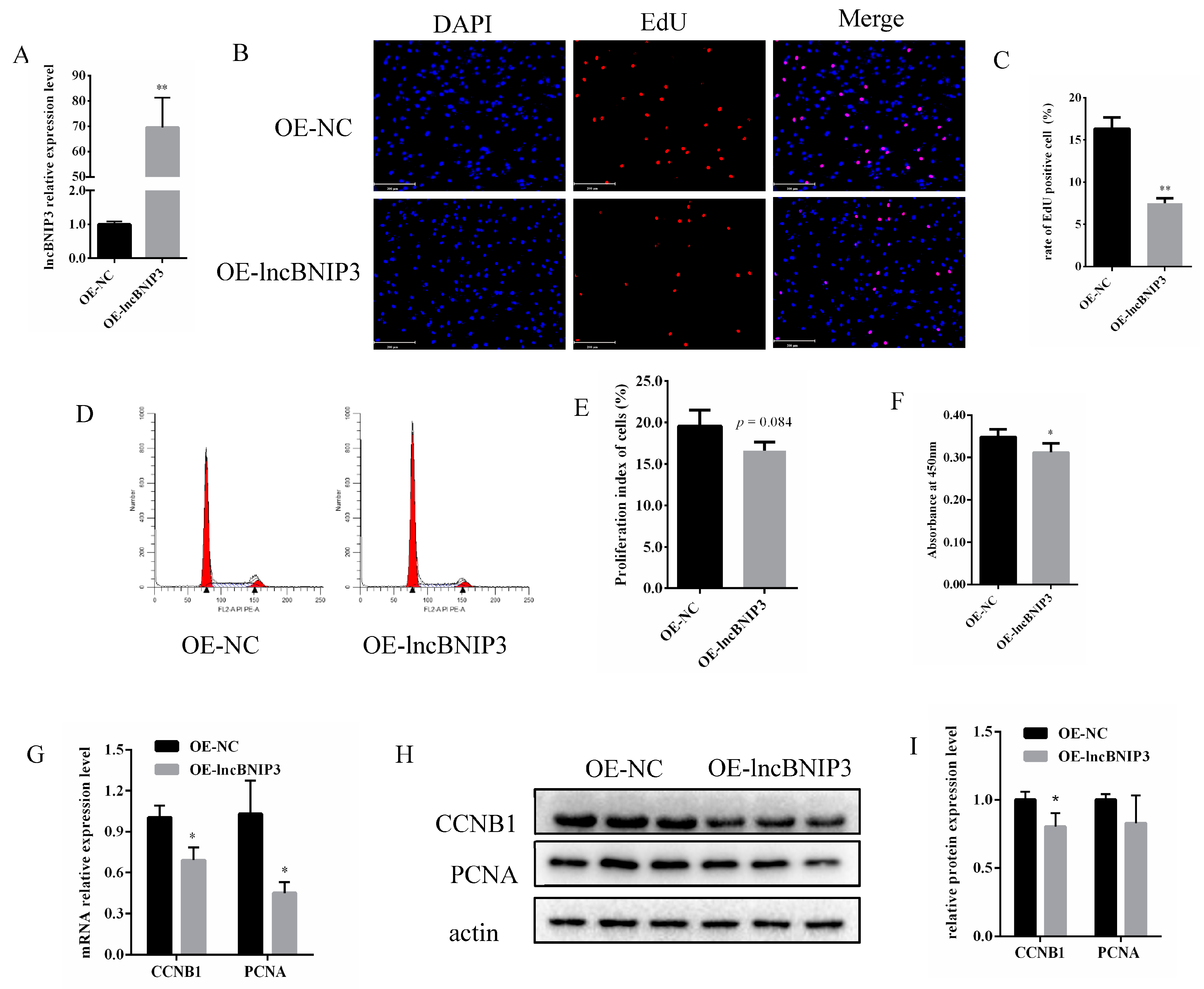 Ijms 24 04234 g003 Ijms 24 04234 g003