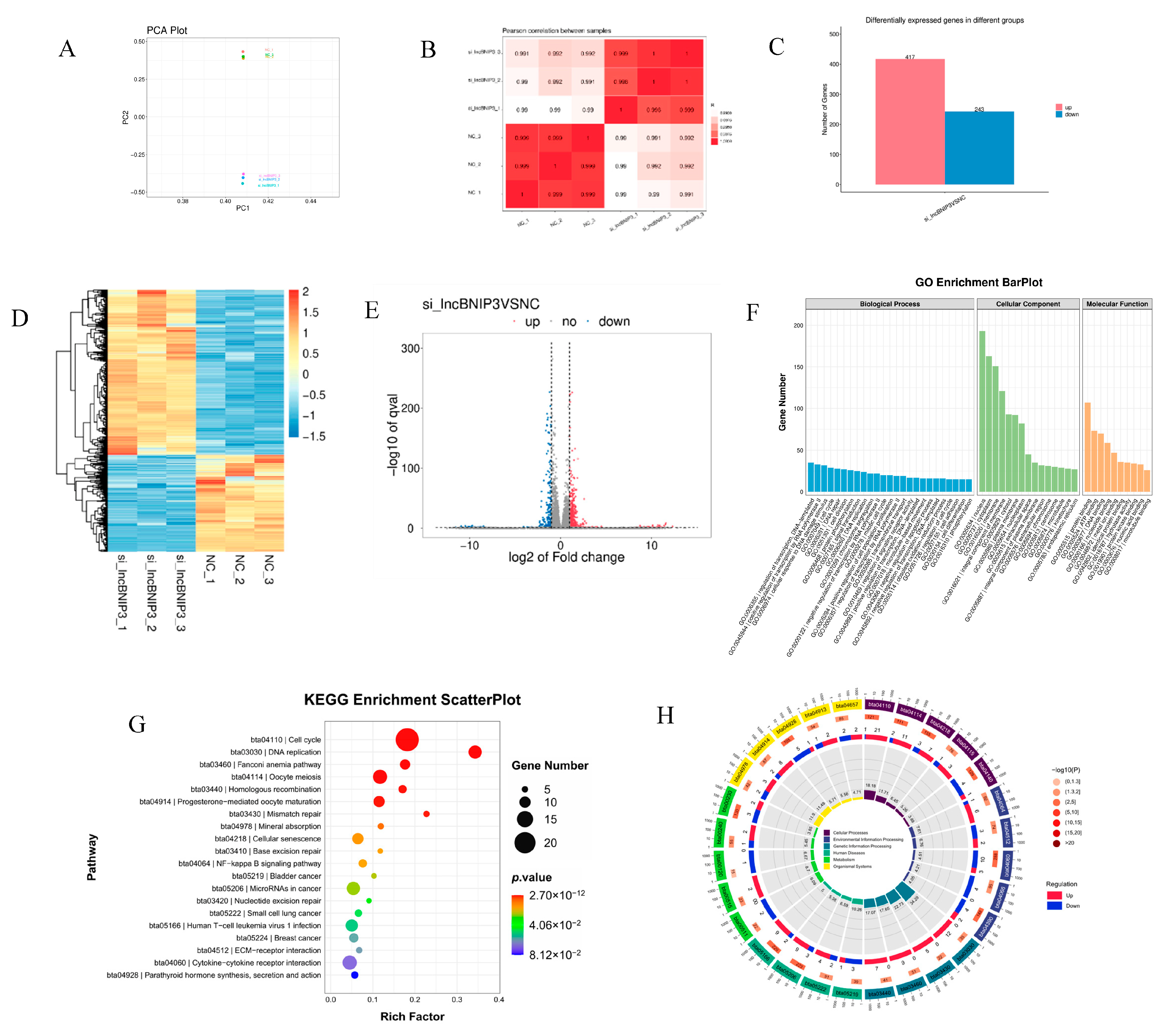 Ijms 24 04234 g004 Ijms 24 04234 g004