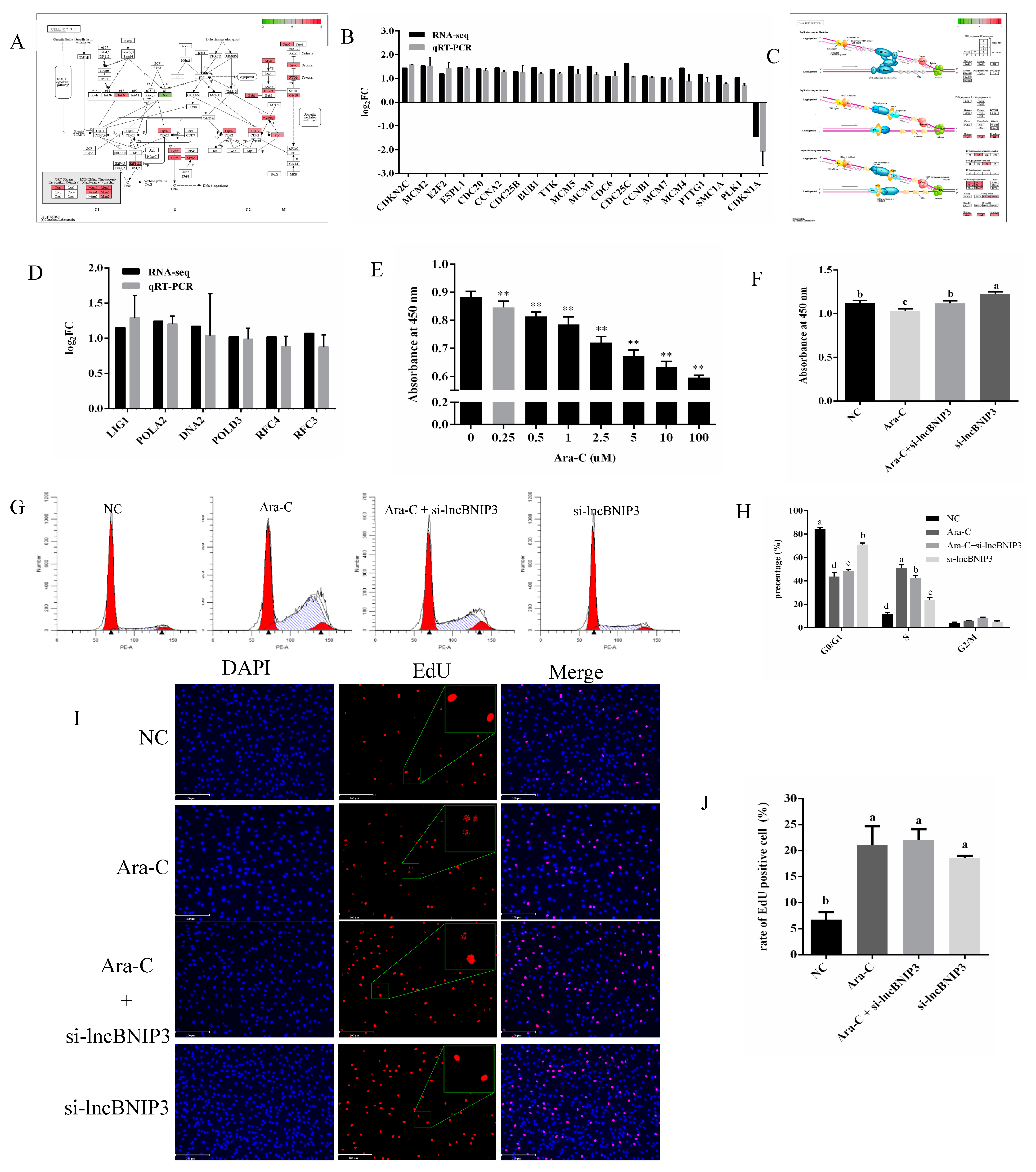 Ijms 24 04234 g005 Ijms 24 04234 g005