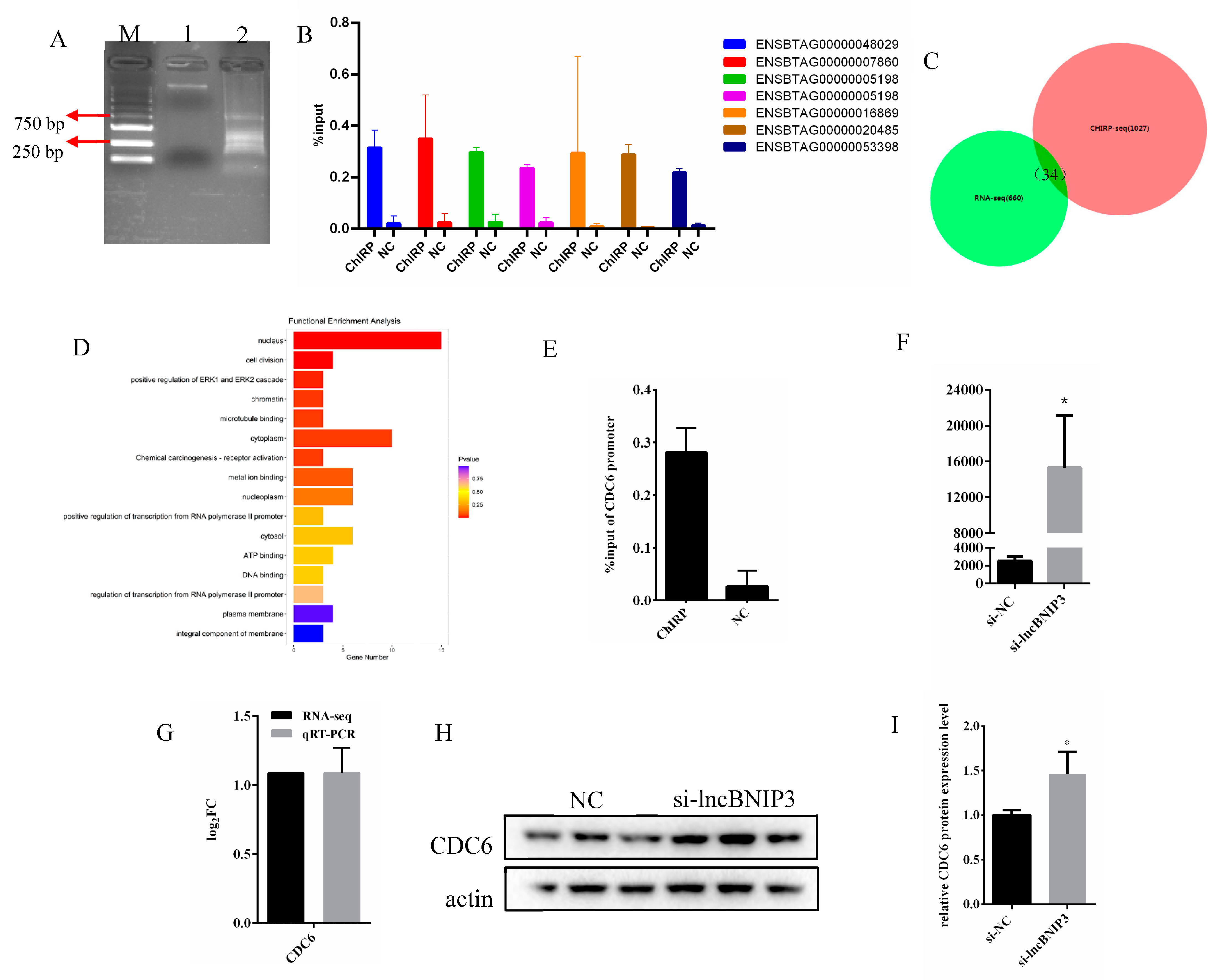 Ijms 24 04234 g006 Ijms 24 04234 g006