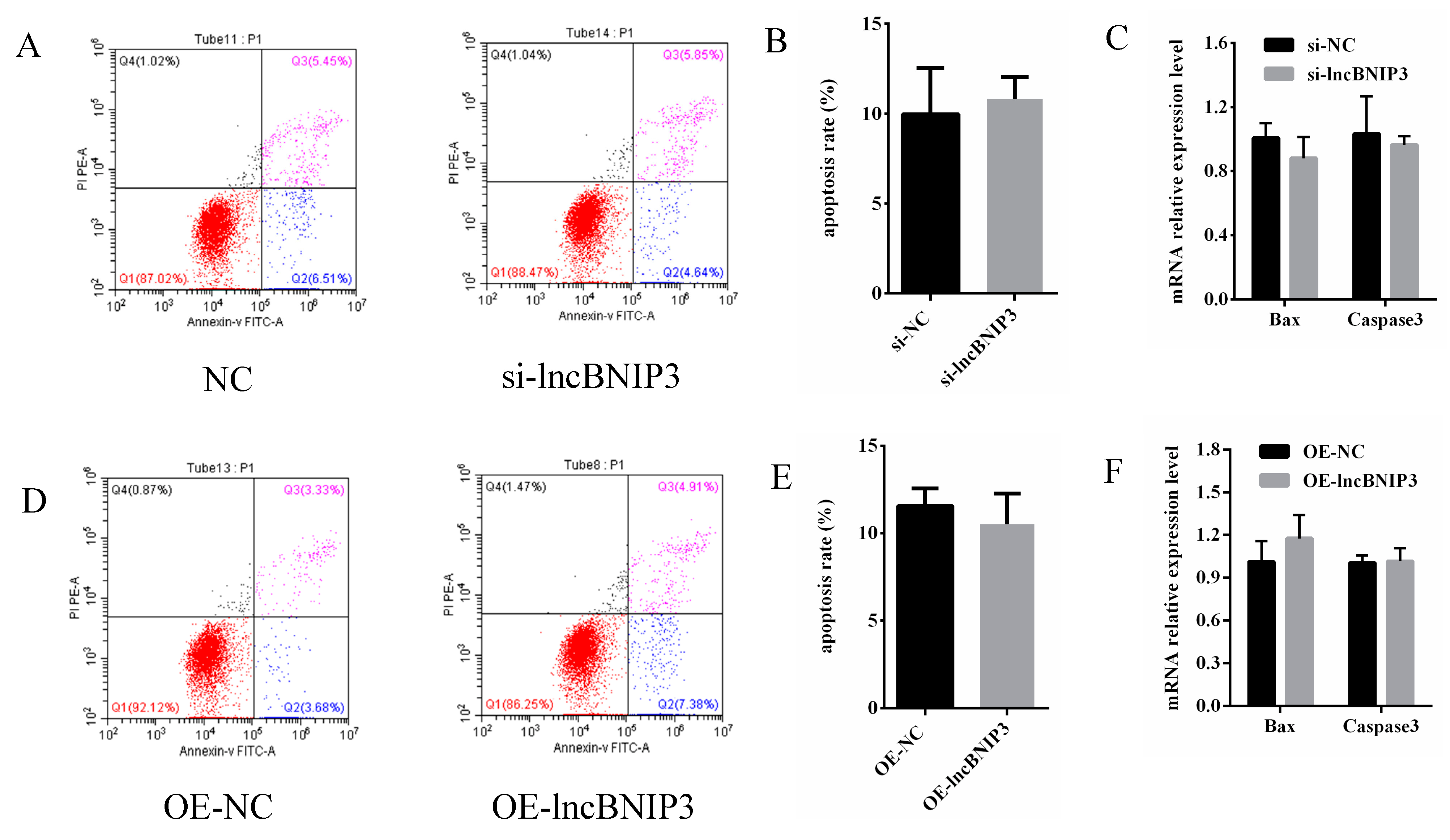 Ijms 24 04234 g007 Ijms 24 04234 g007