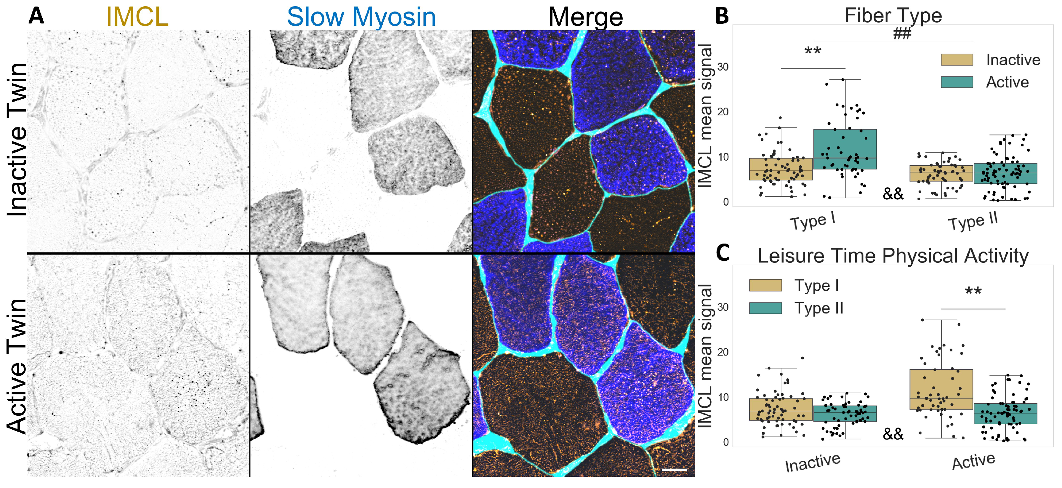 Ijms 24 04282 g001 Ijms 24 04282 g001