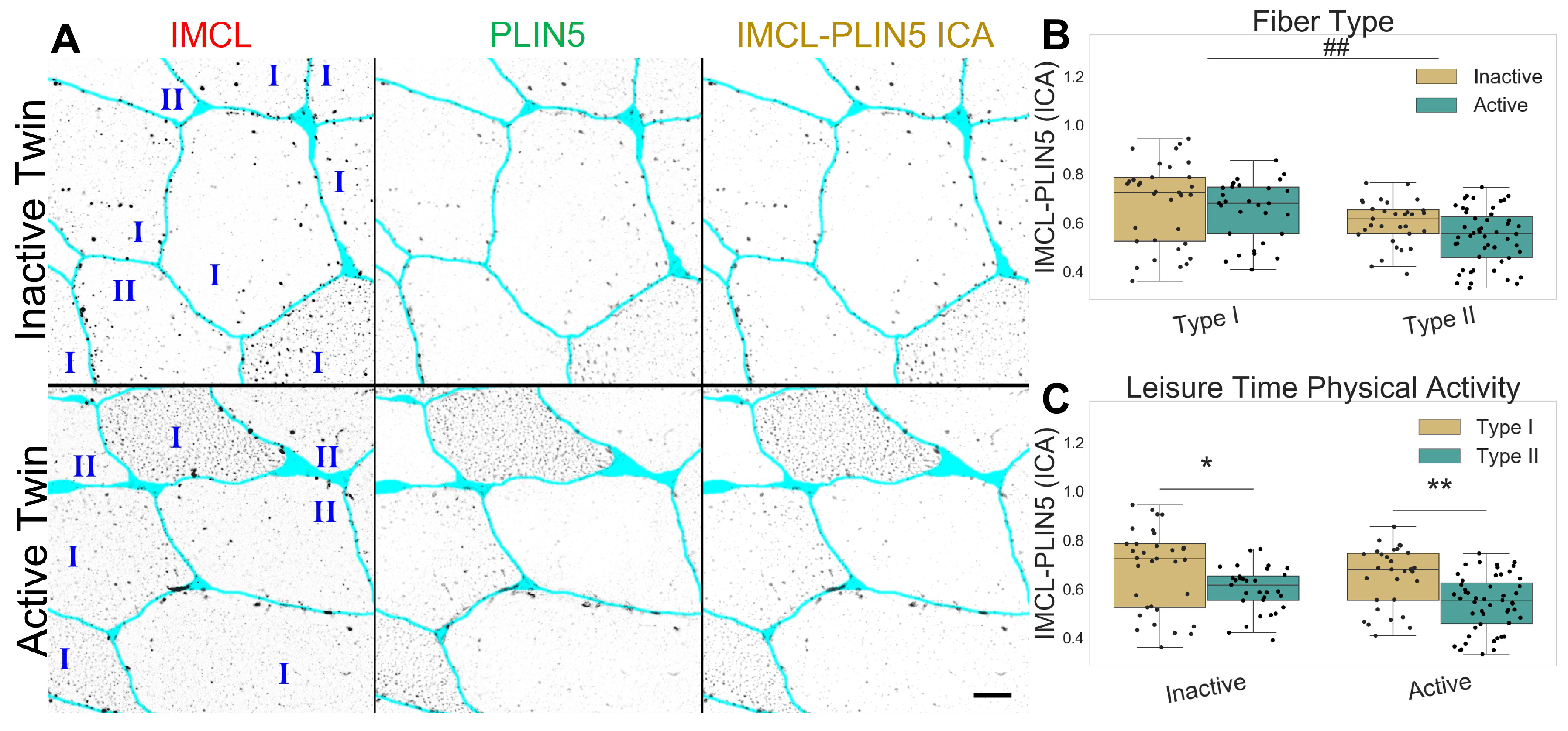 Ijms 24 04282 g002 Ijms 24 04282 g002