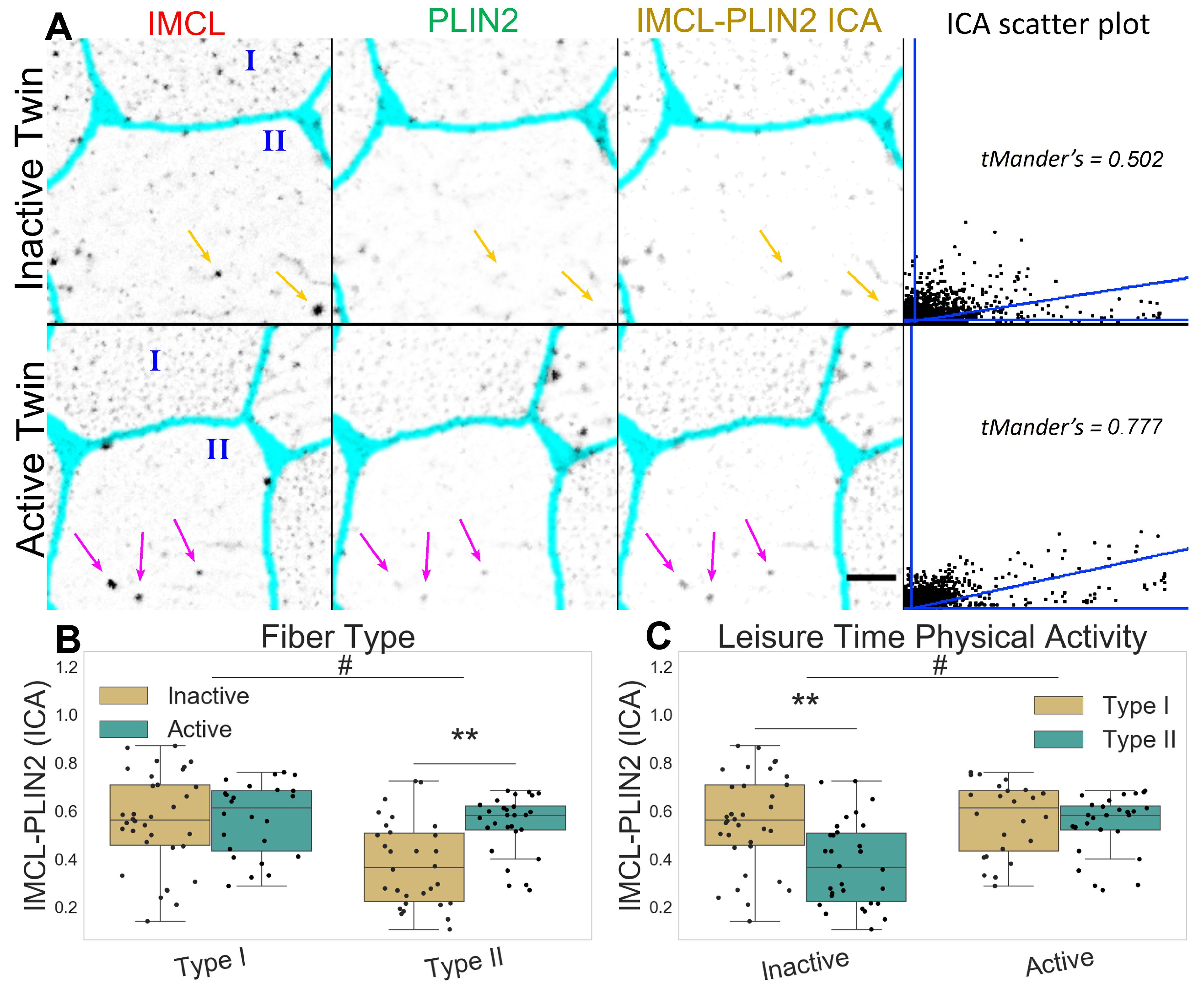 Ijms 24 04282 g003 Ijms 24 04282 g003