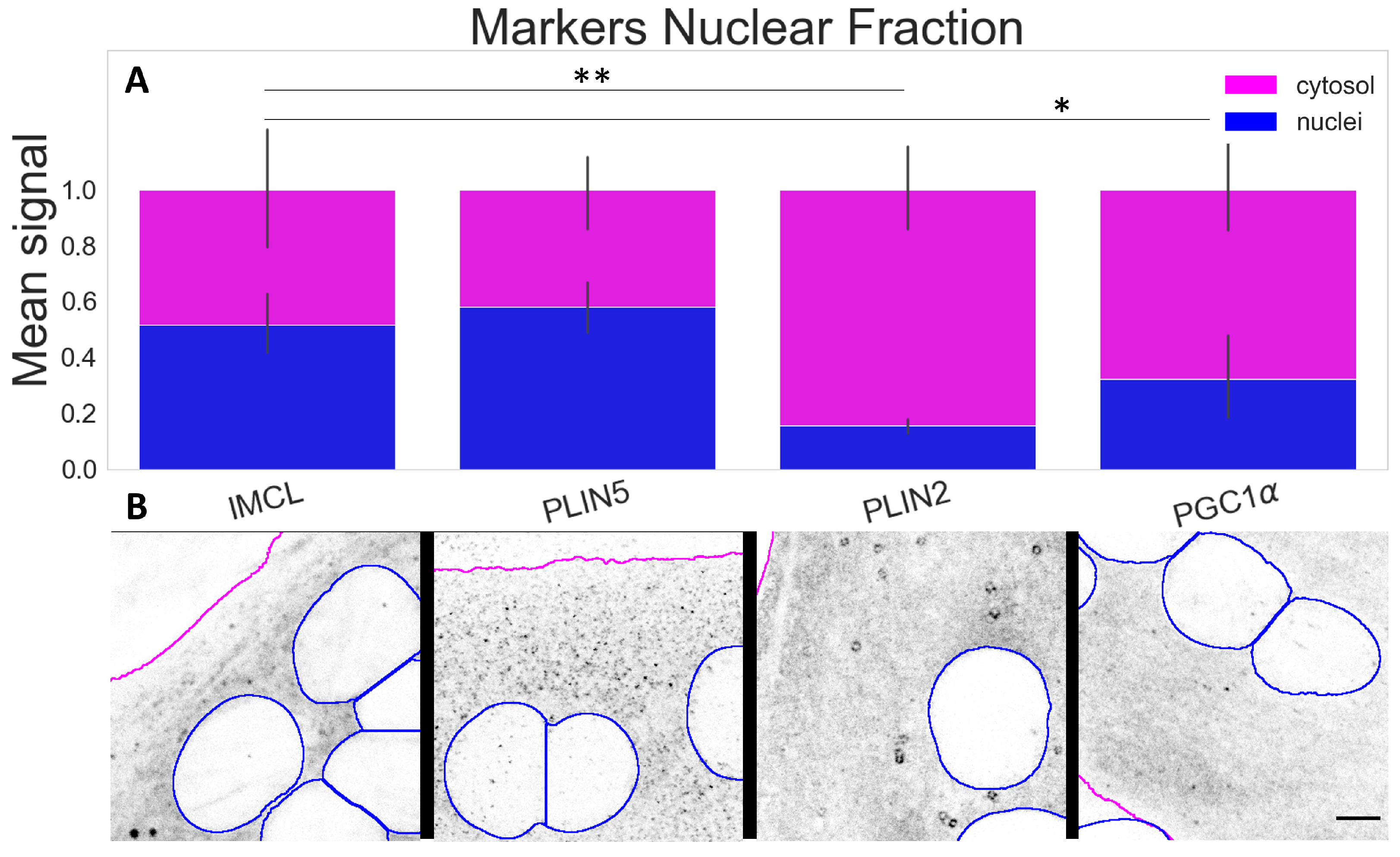 Ijms 24 04282 g004 Ijms 24 04282 g004