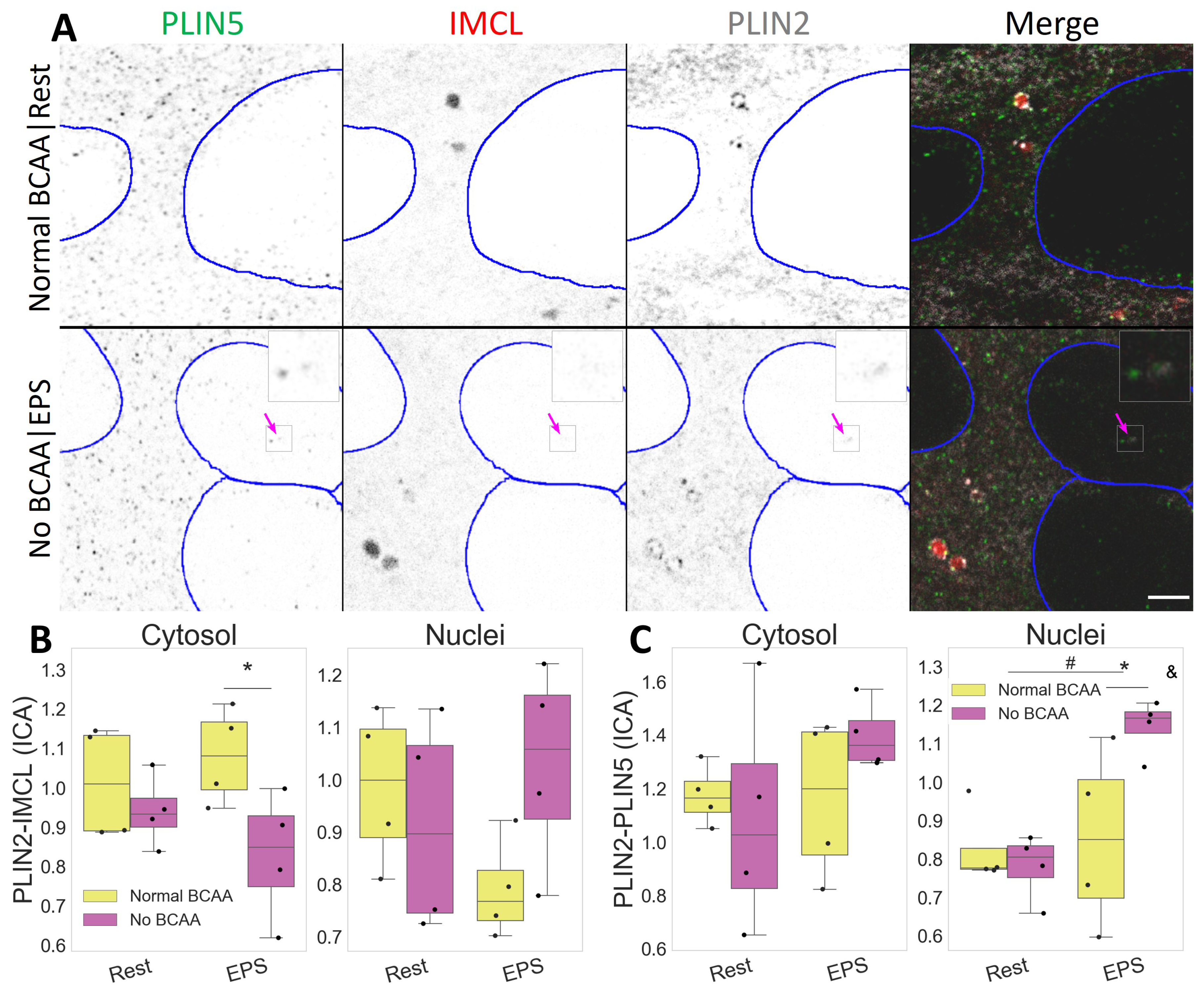 Ijms 24 04282 g005 Ijms 24 04282 g005