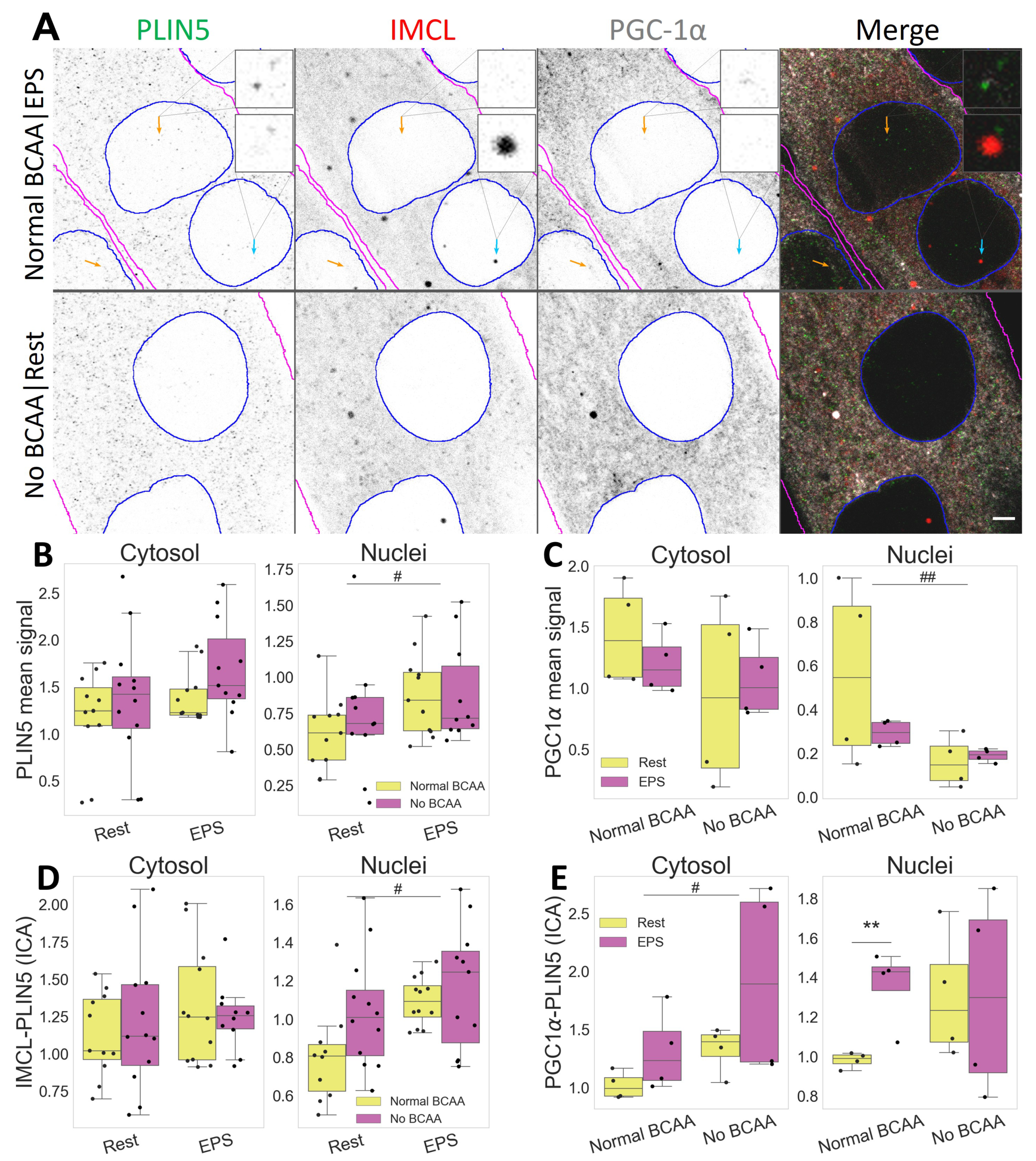 Ijms 24 04282 g006 Ijms 24 04282 g006