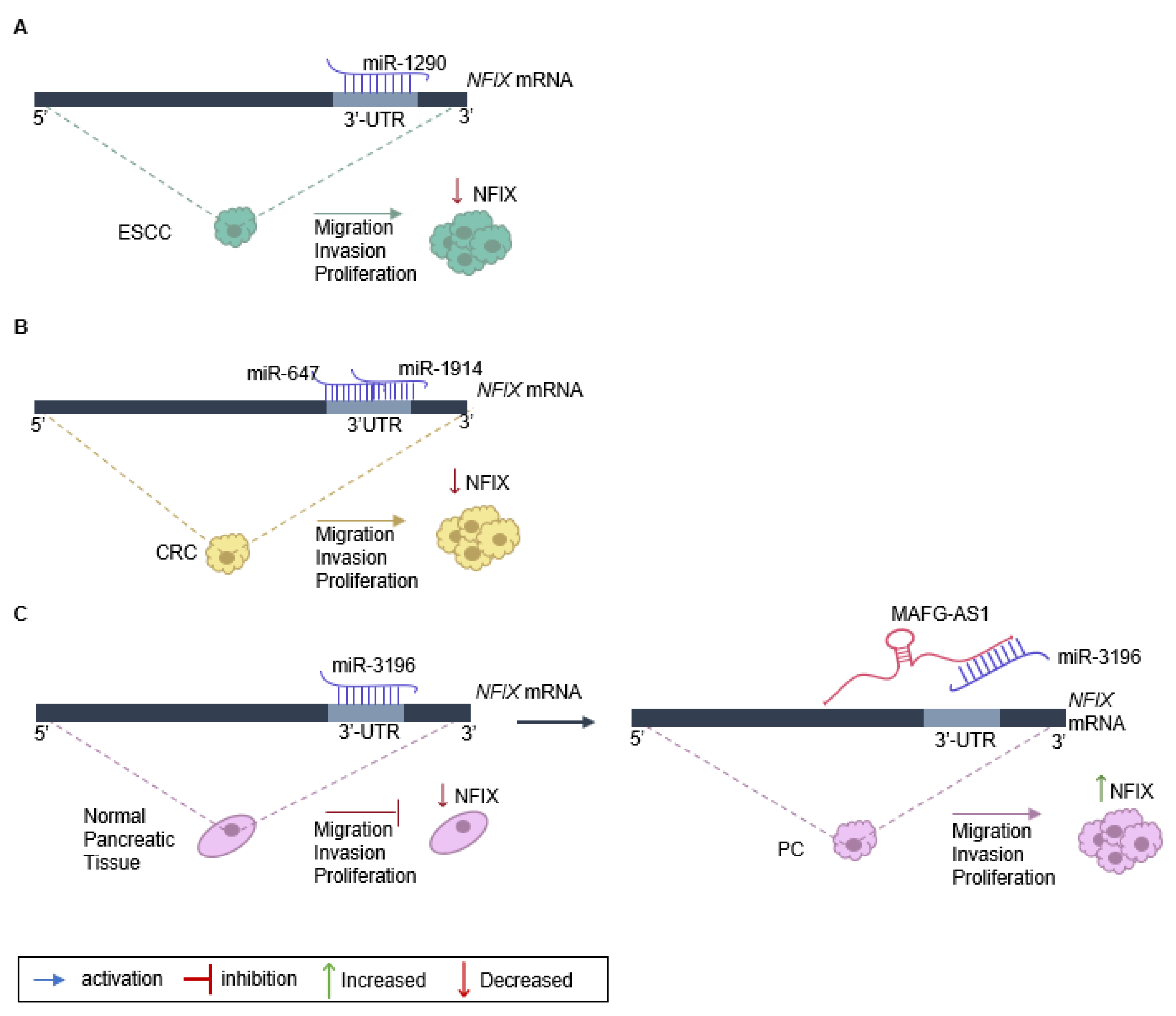 Ijms 24 04293 g002 Ijms 24 04293 g002