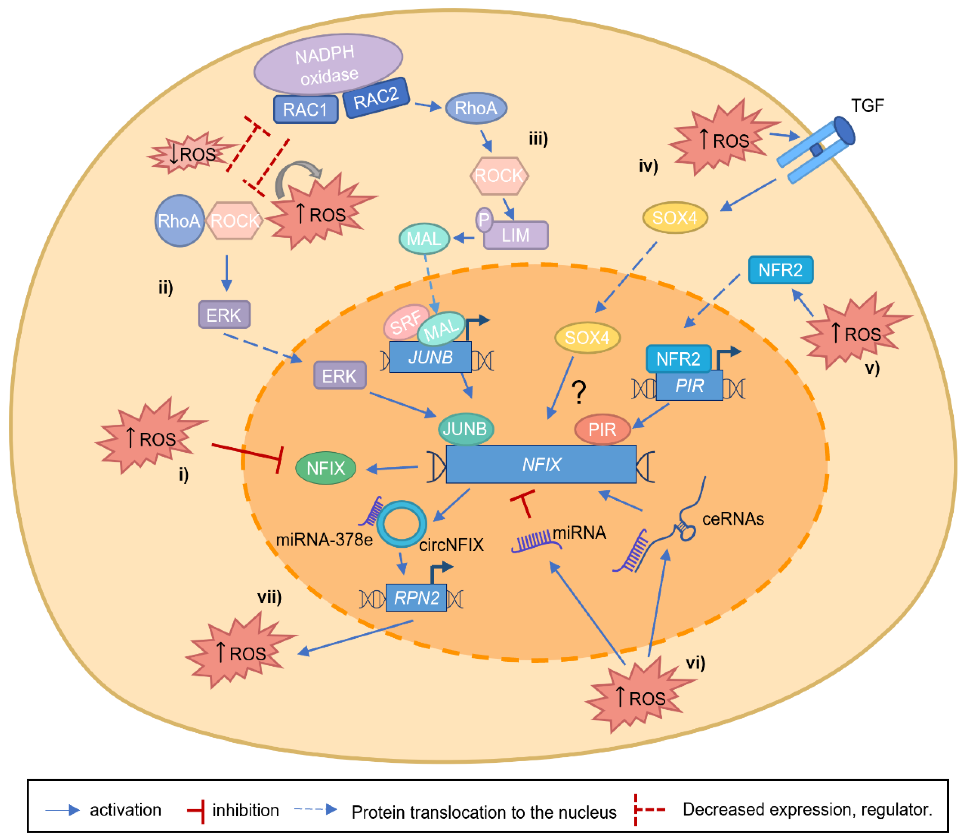 Ijms 24 04293 g003 Ijms 24 04293 g003
