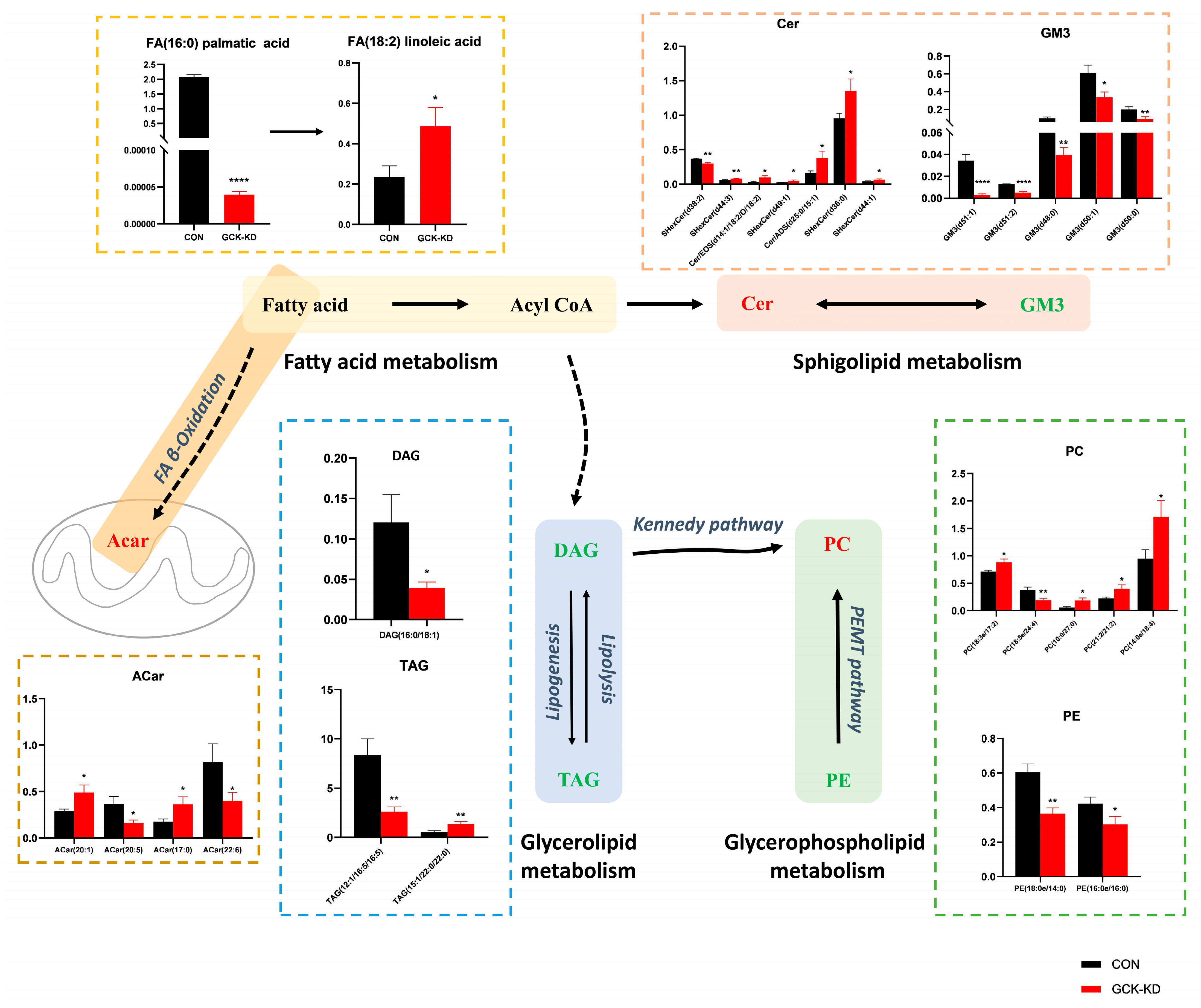 Ijms 24 04315 g003 Ijms 24 04315 g003