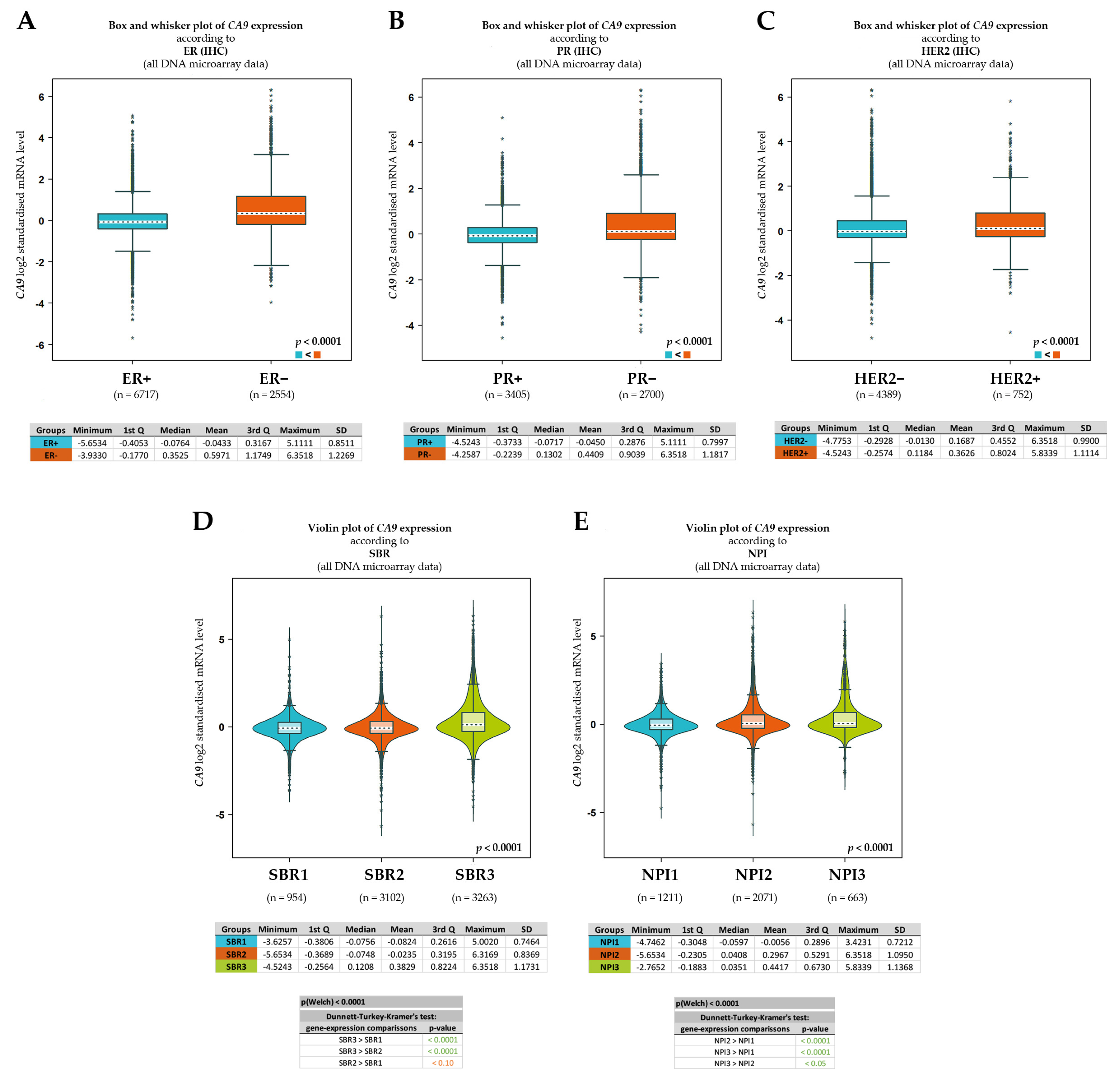 Ijms 24 04325 g006 Ijms 24 04325 g006