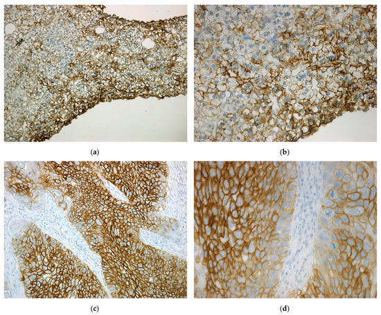 Ijms 24 04325 g0a1a Ijms 24 04325 g0a1a