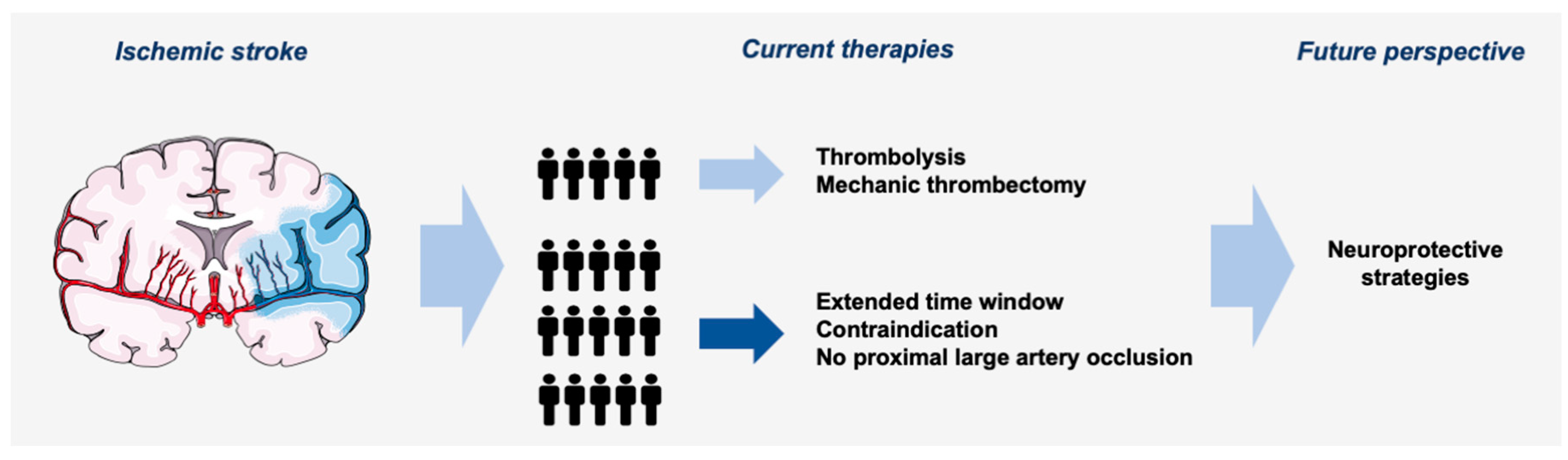 Ijms 24 04334 g001 Ijms 24 04334 g001