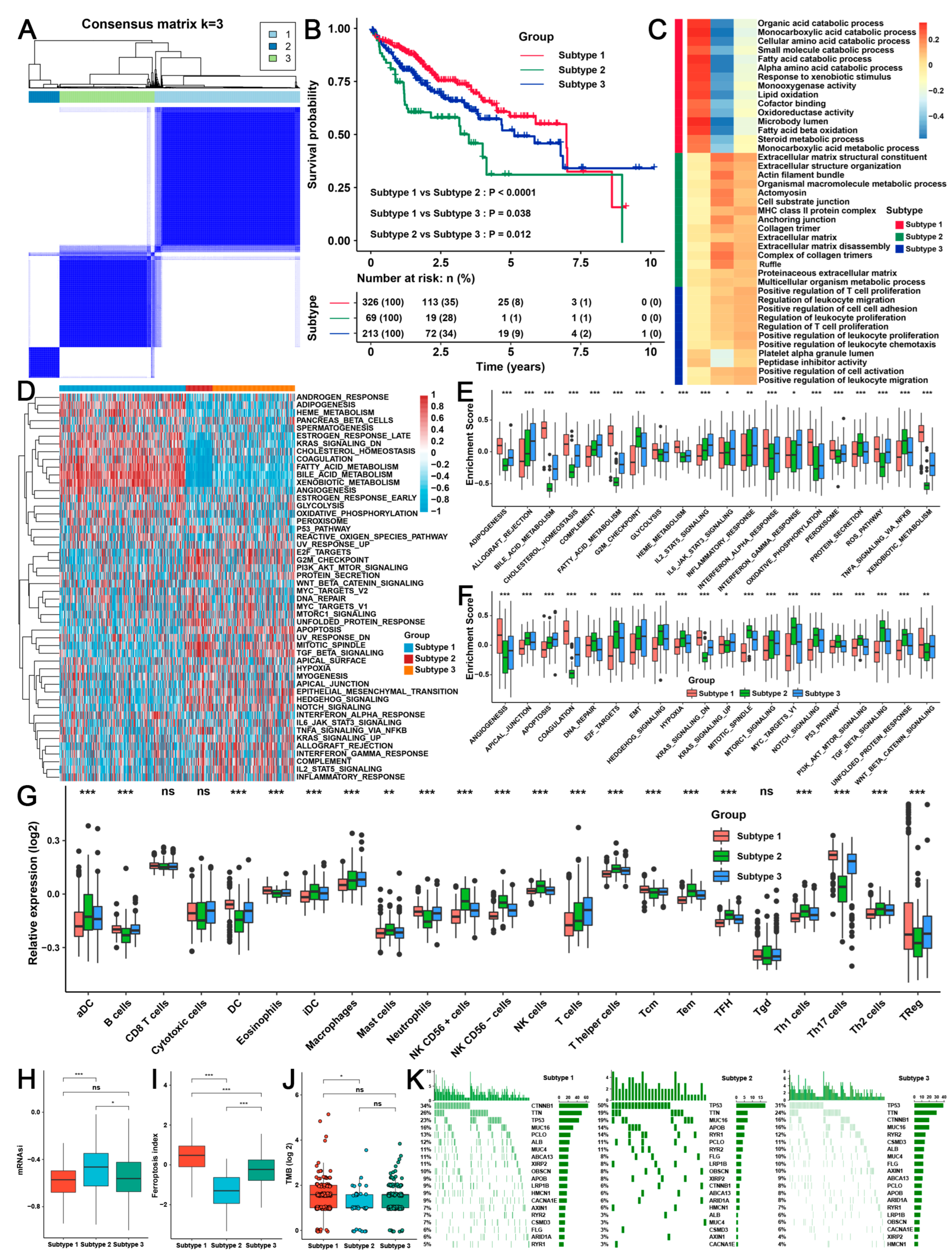 Ijms 24 04335 g003 Ijms 24 04335 g003