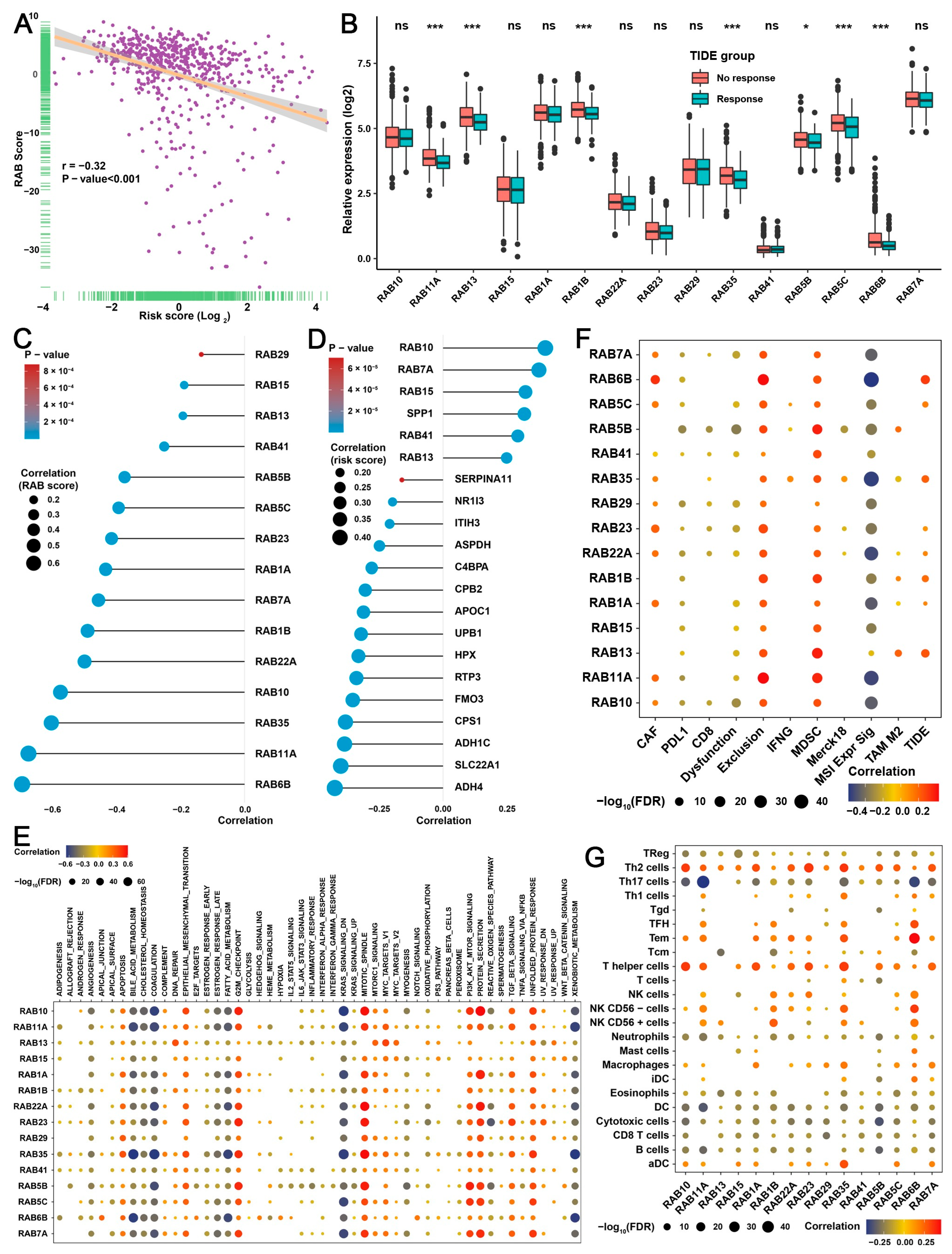 Ijms 24 04335 g008 Ijms 24 04335 g008
