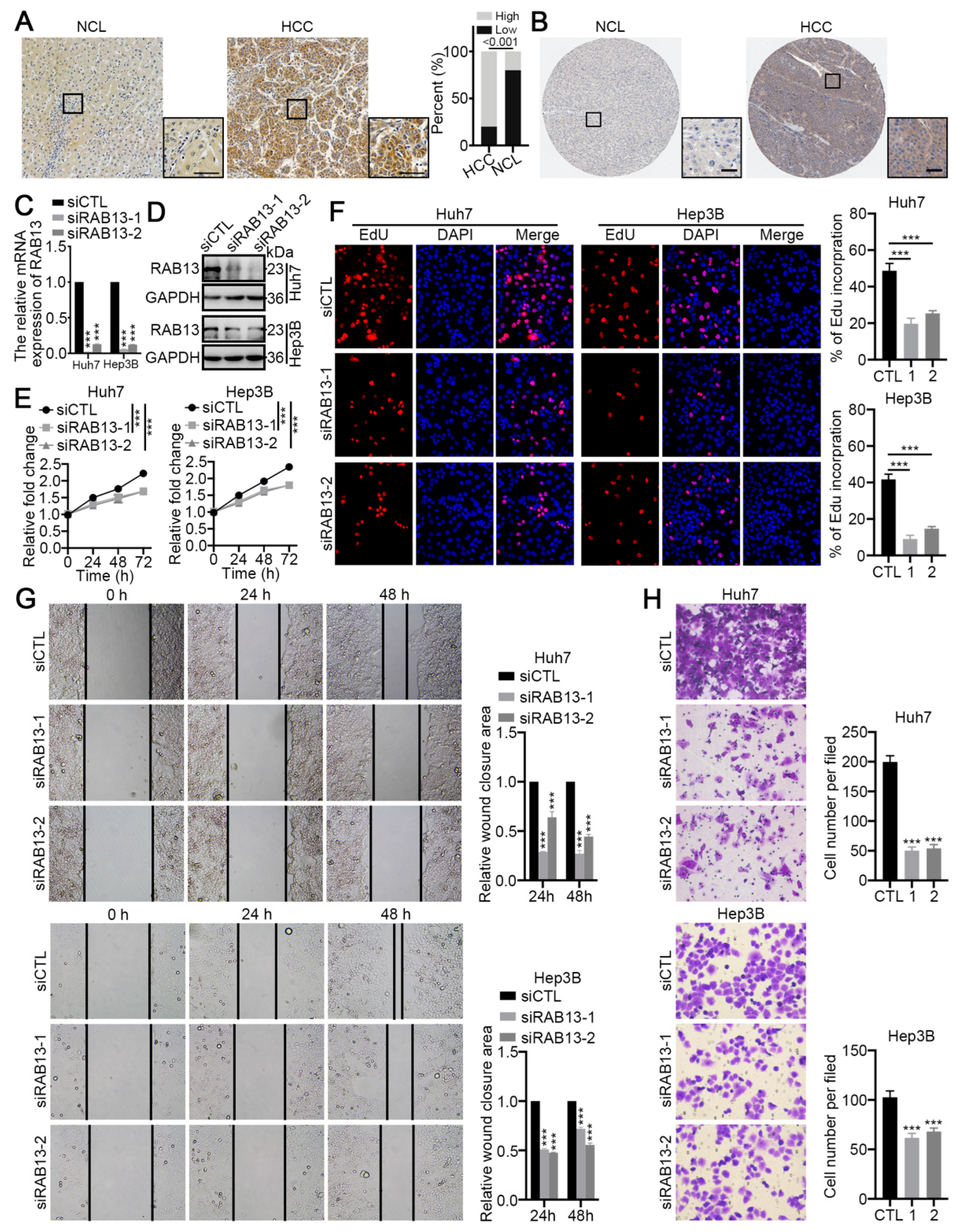 Ijms 24 04335 g009 Ijms 24 04335 g009