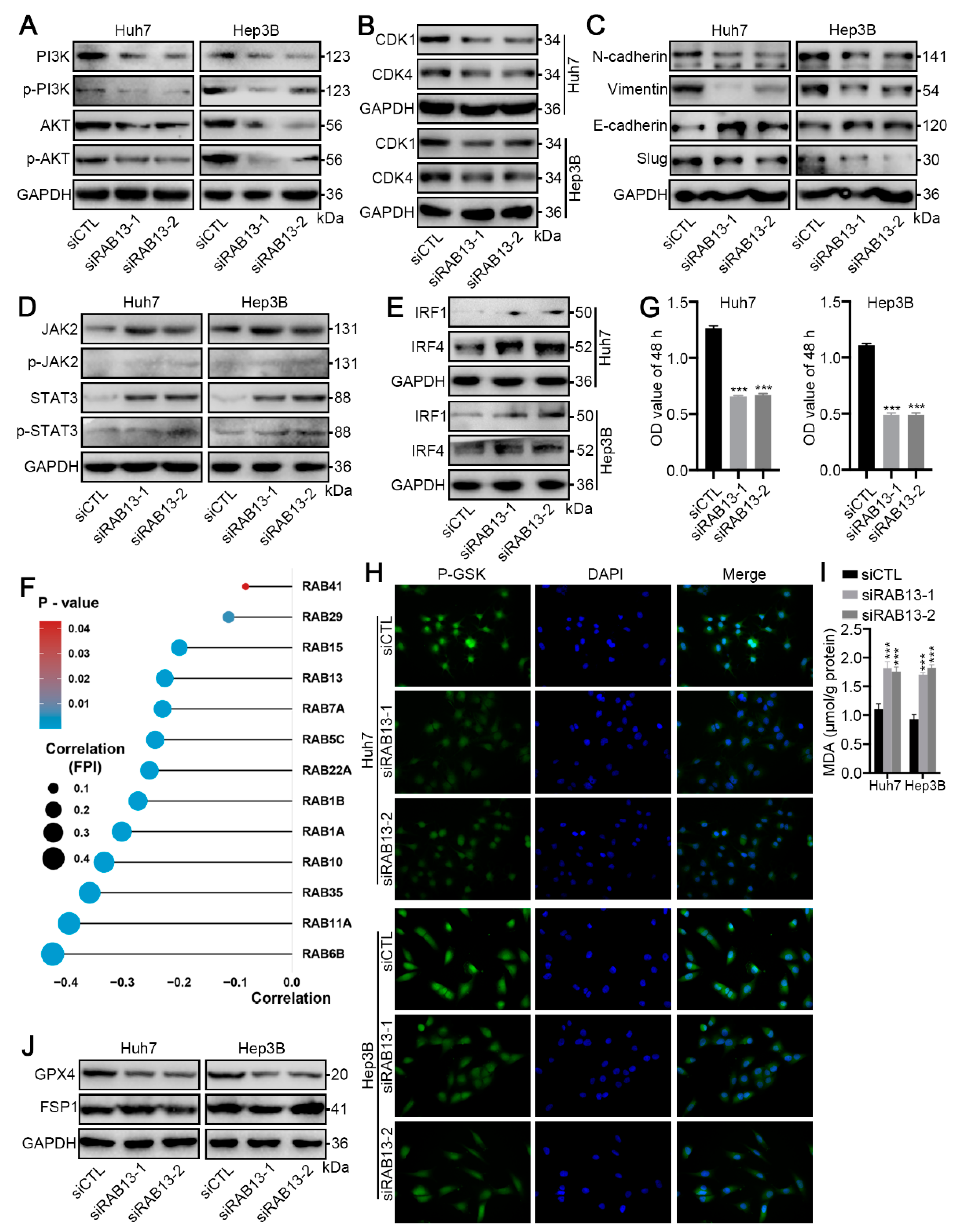 Ijms 24 04335 g010 Ijms 24 04335 g010