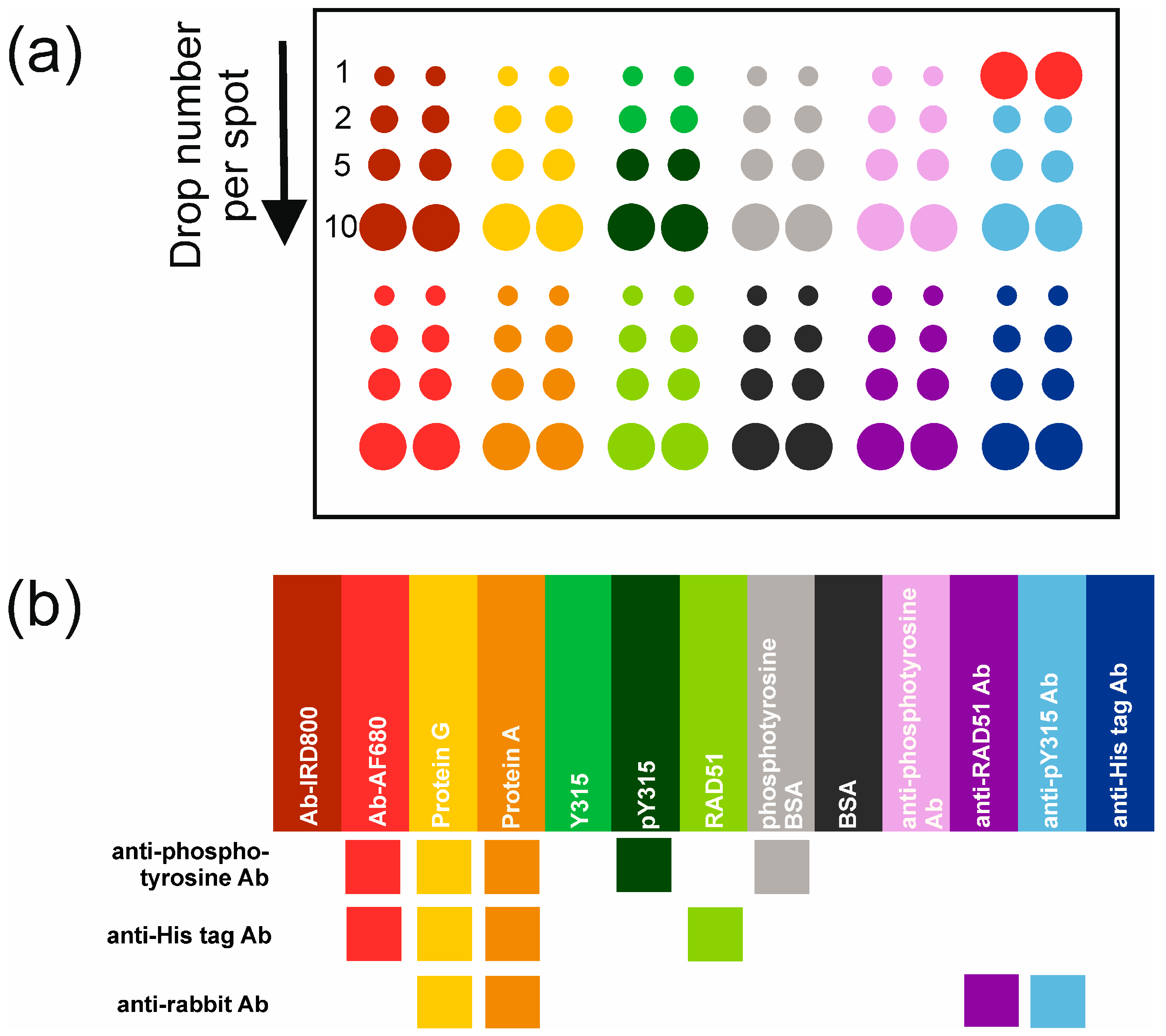 Ijms 24 04347 g001 Ijms 24 04347 g001