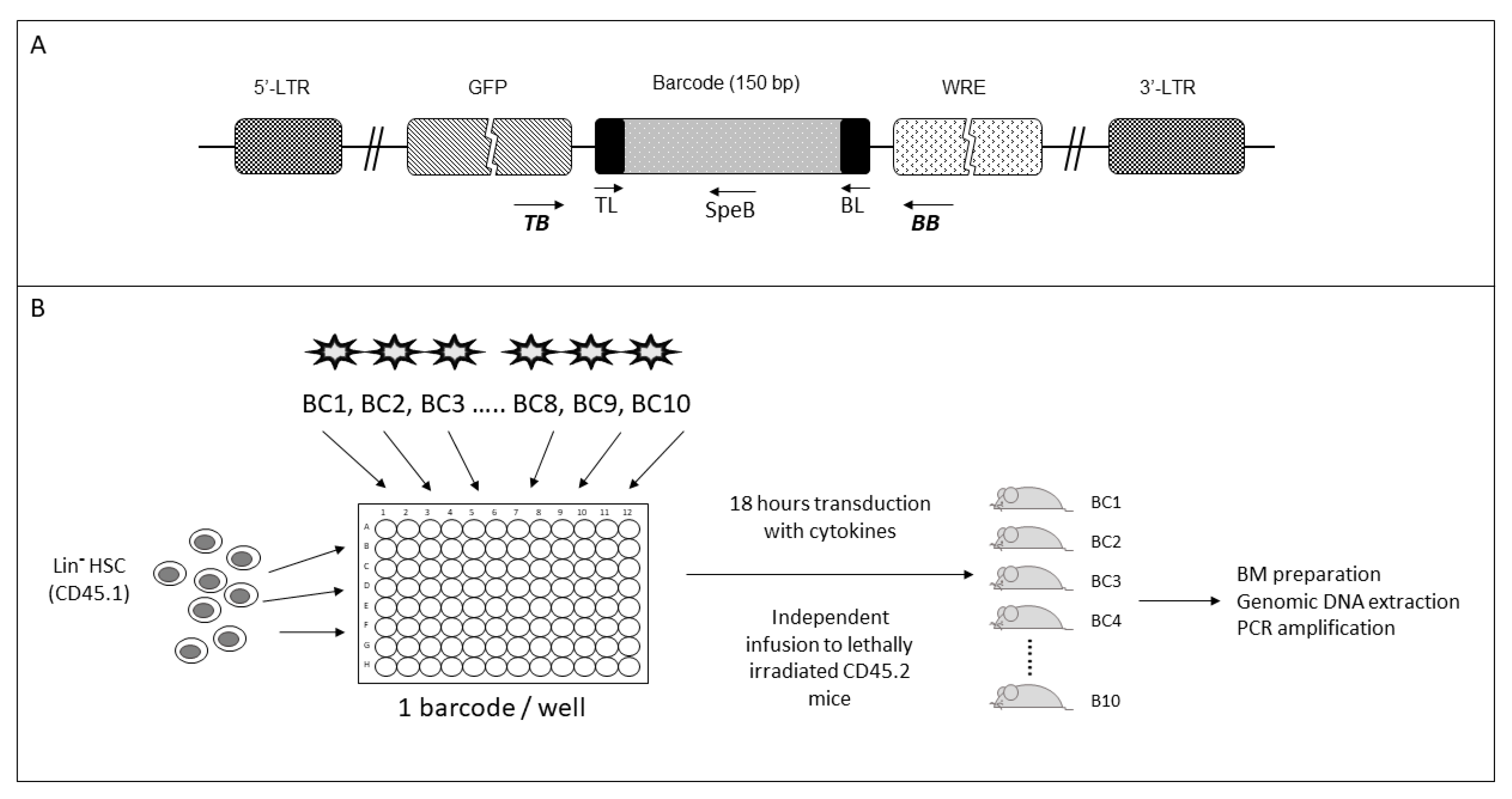 Ijms 24 04368 g001 Ijms 24 04368 g001