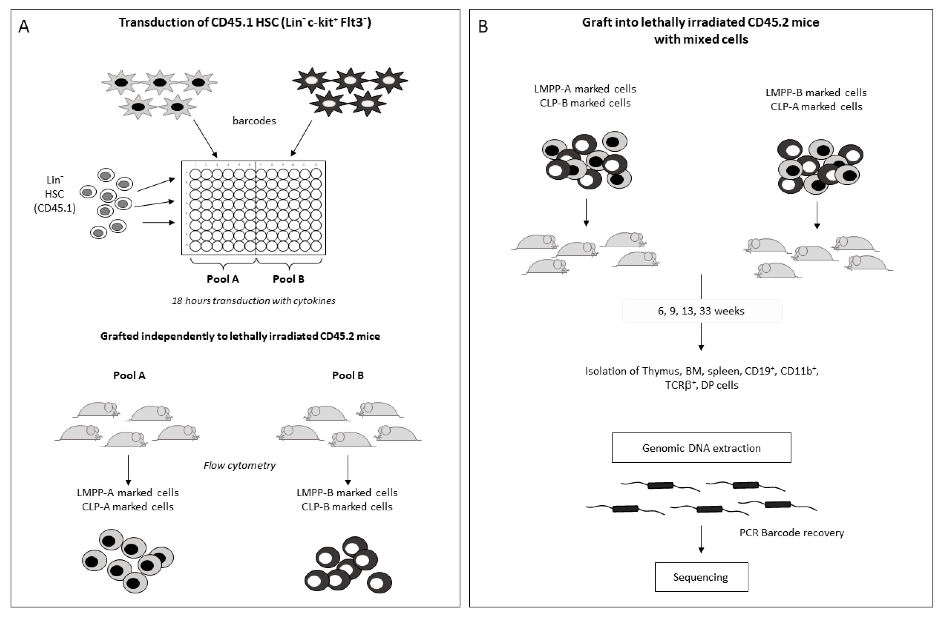 Ijms 24 04368 g003 Ijms 24 04368 g003