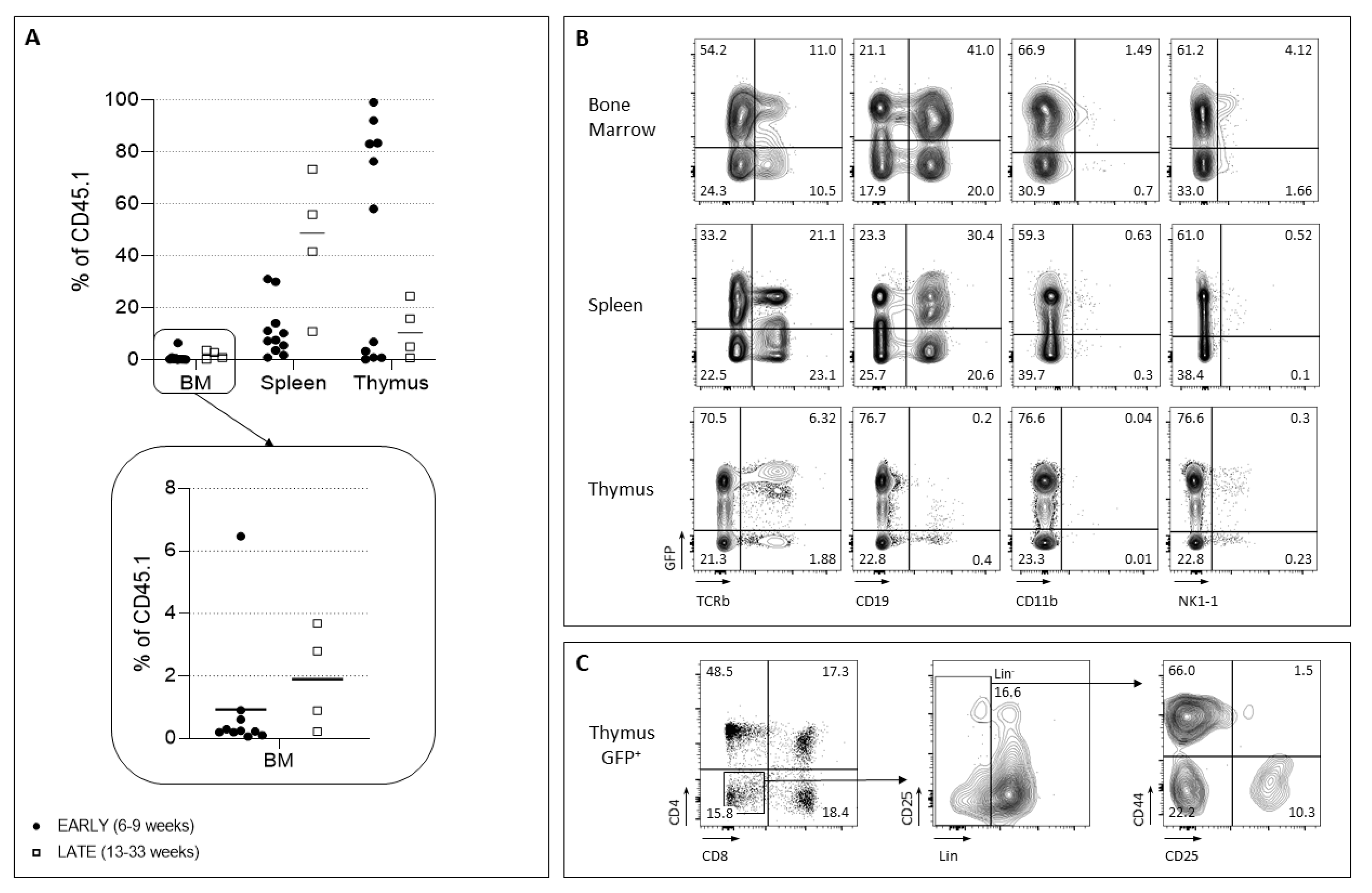 Ijms 24 04368 g005 Ijms 24 04368 g005