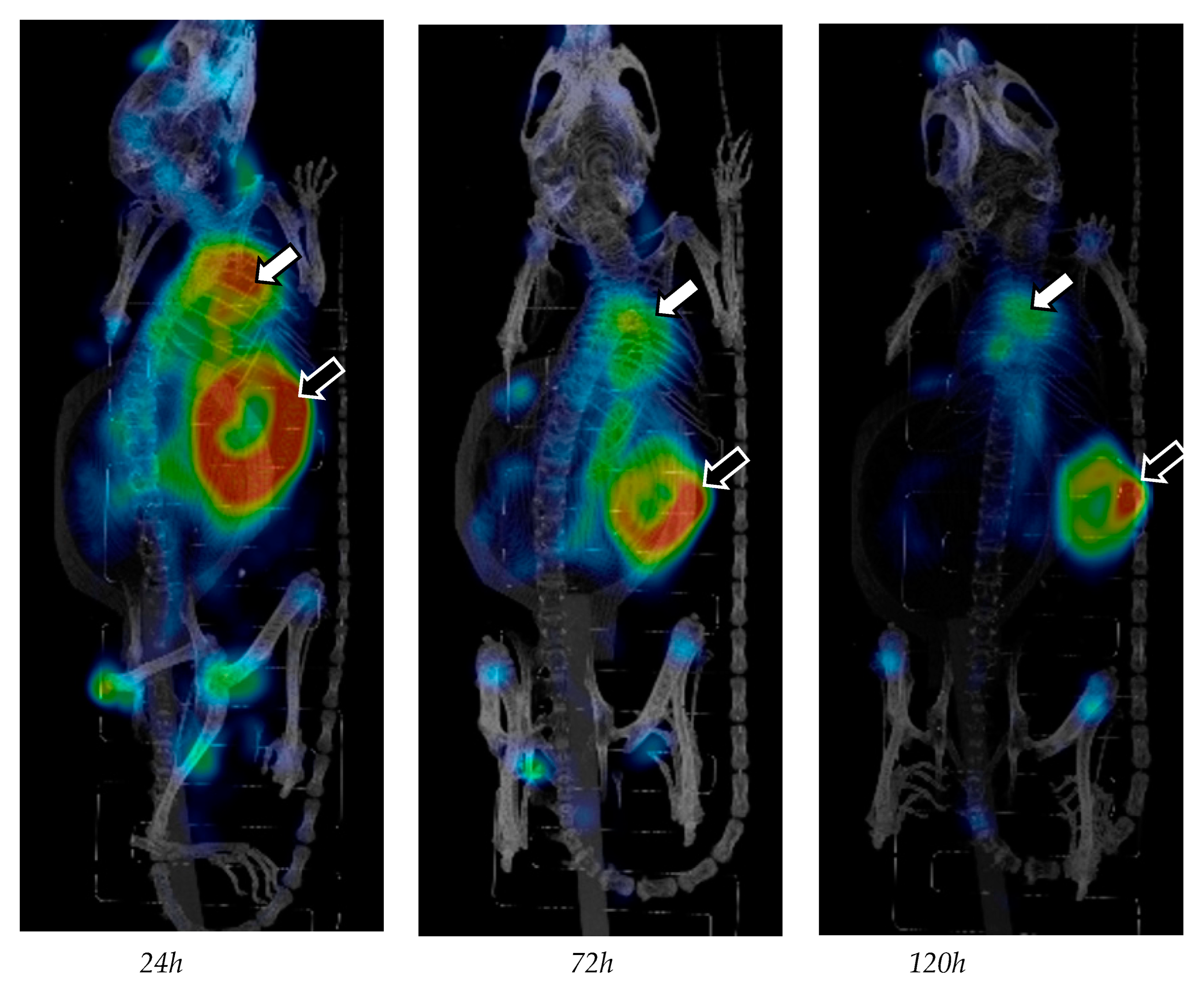 Ijms 24 04374 g001 Ijms 24 04374 g001