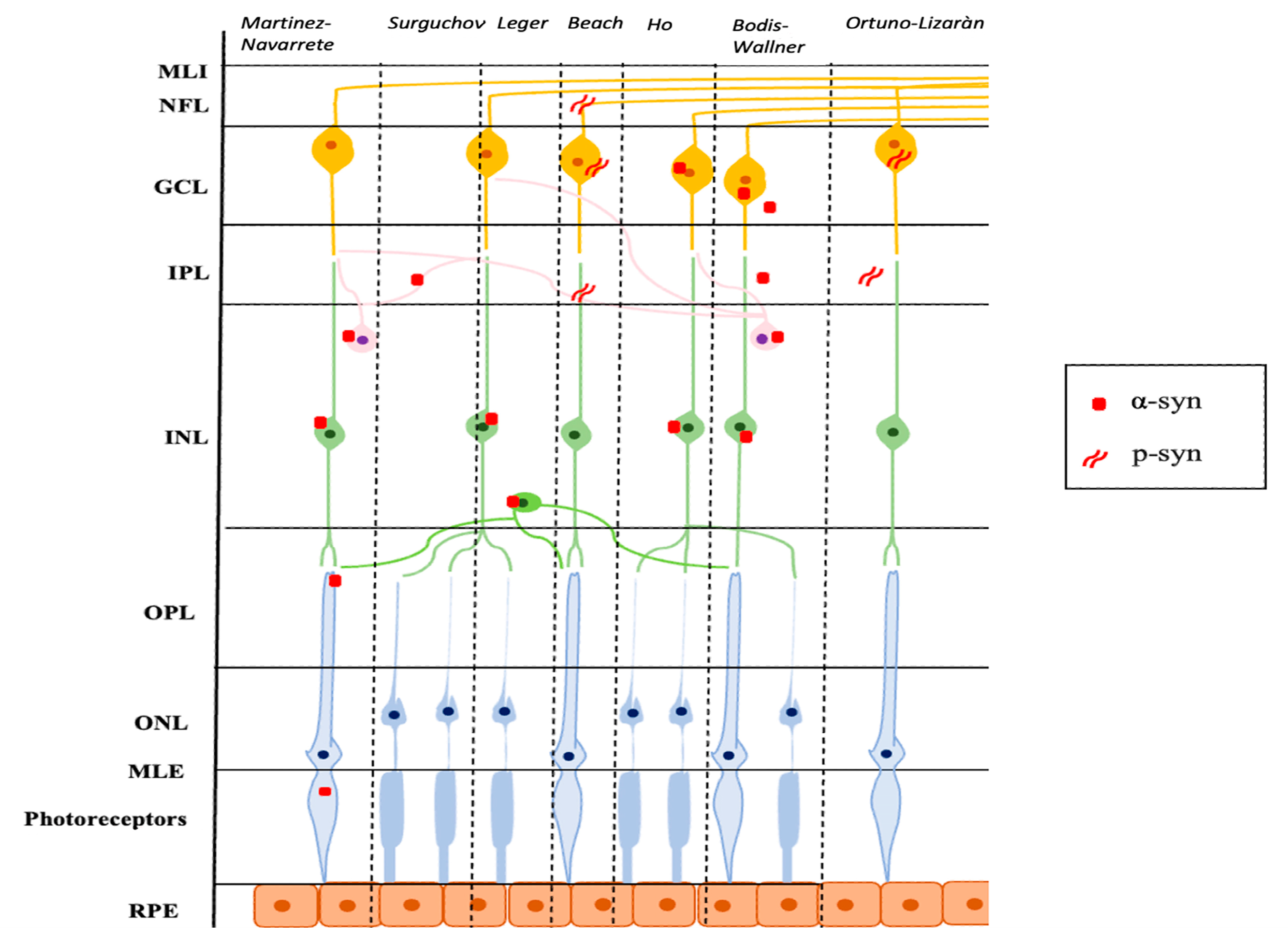 Ijms 24 04391 g001 Ijms 24 04391 g001