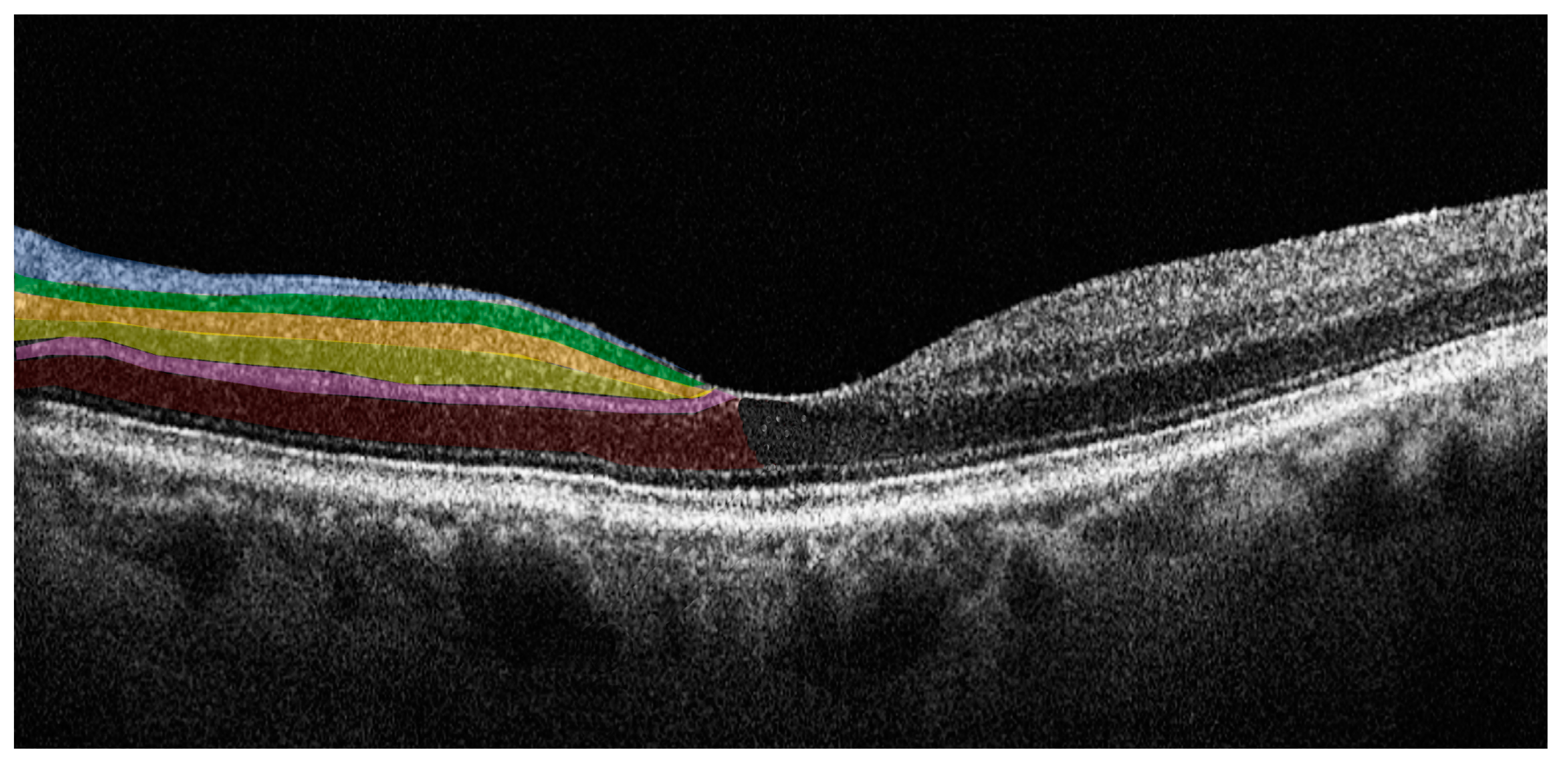 Ijms 24 04391 g002 Ijms 24 04391 g002