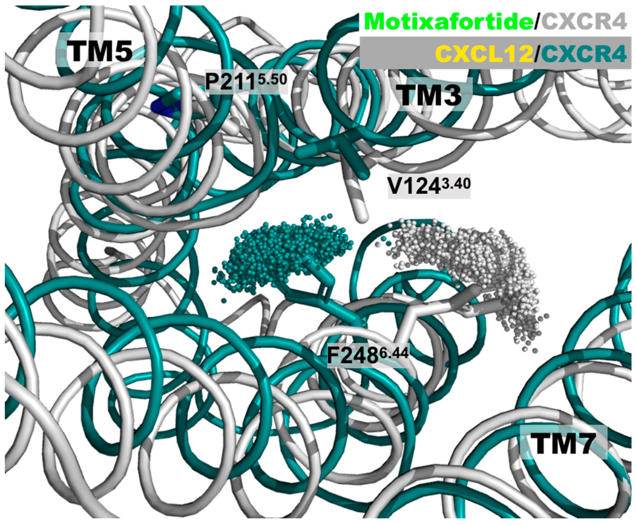 Ijms 24 04393 g002 Ijms 24 04393 g002