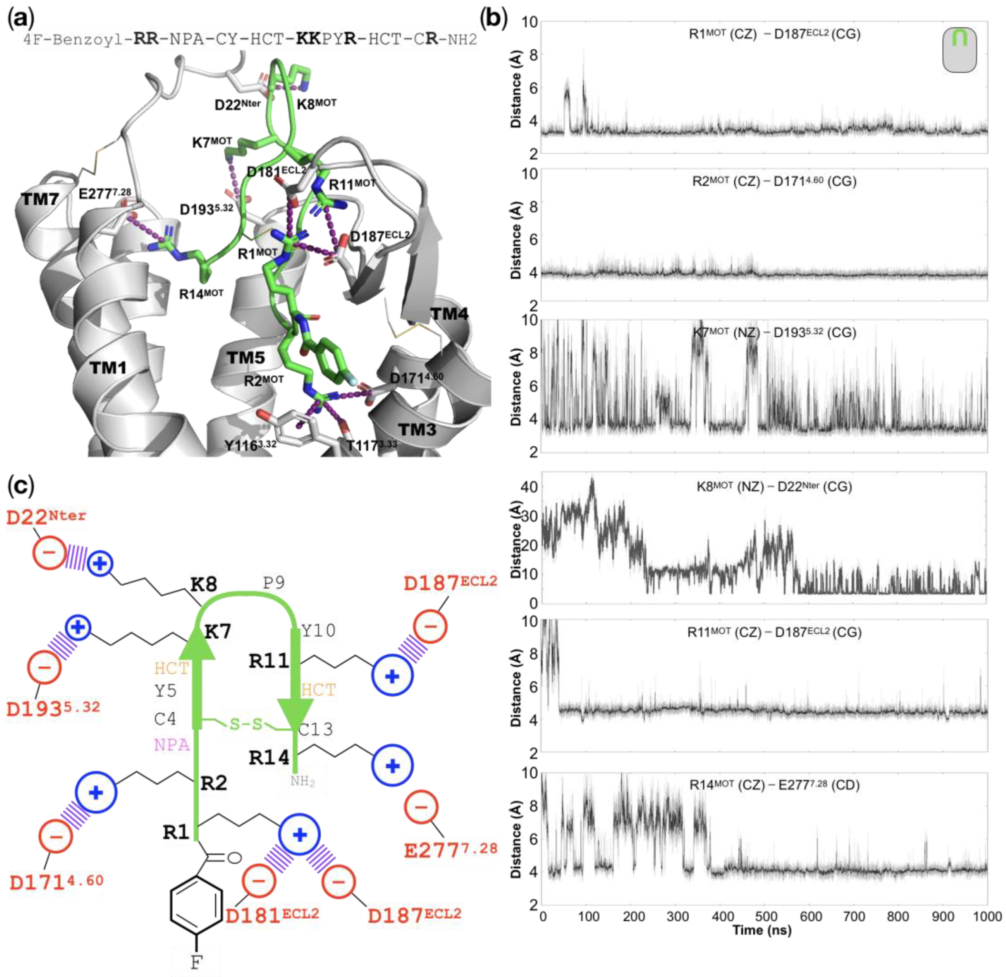 Ijms 24 04393 g004 Ijms 24 04393 g004