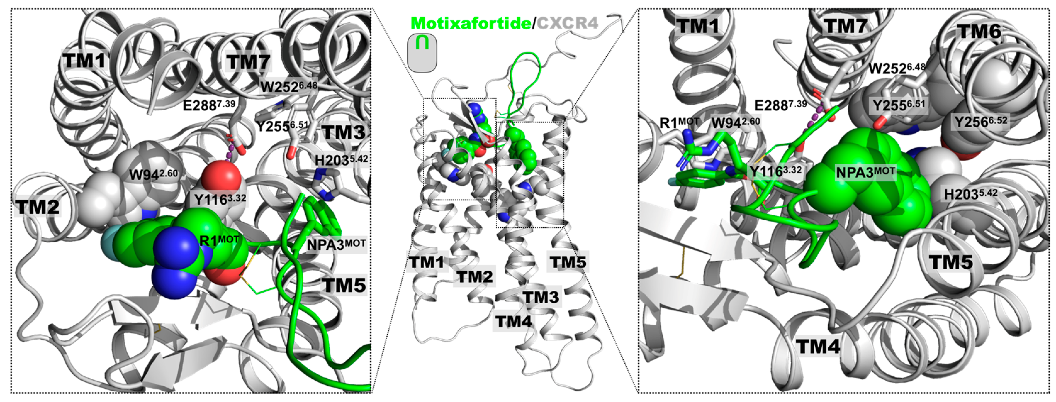 Ijms 24 04393 g005 Ijms 24 04393 g005