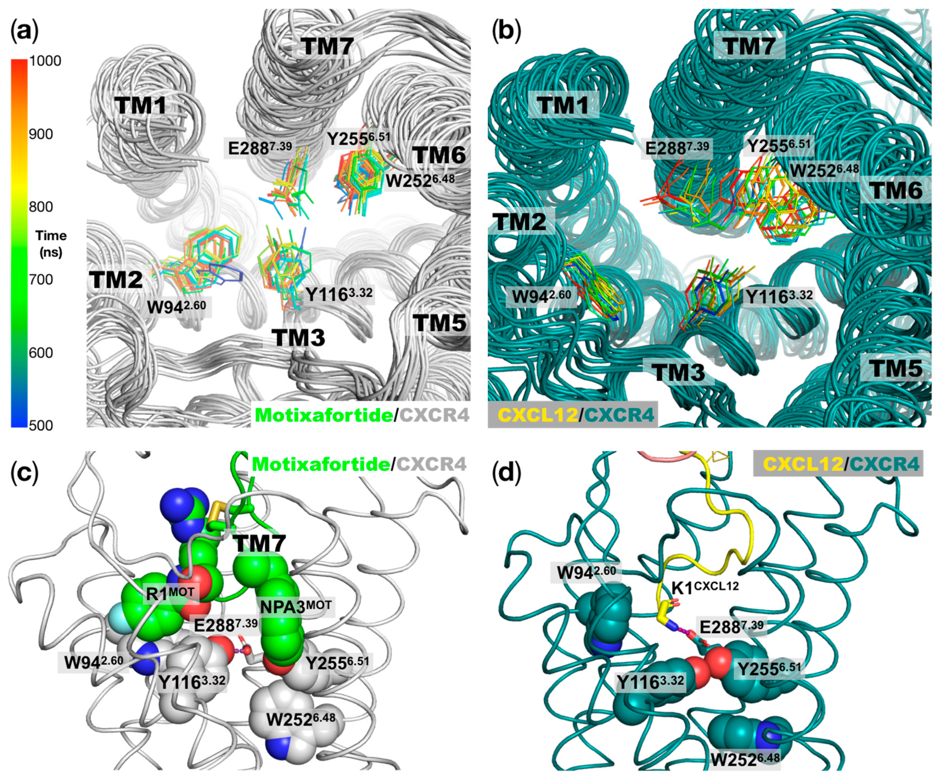 Ijms 24 04393 g006 Ijms 24 04393 g006