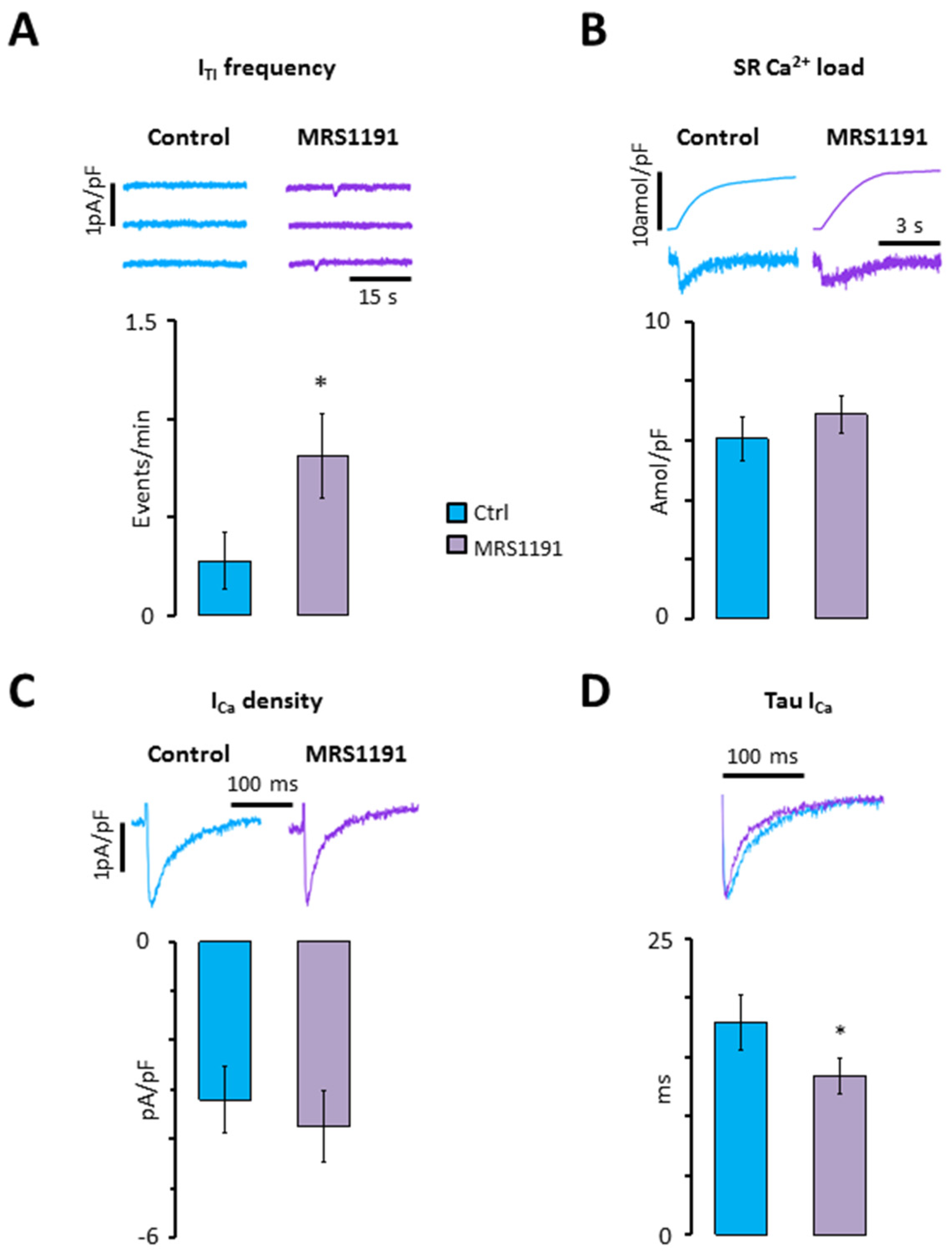 Ijms 24 04404 g002 Ijms 24 04404 g002