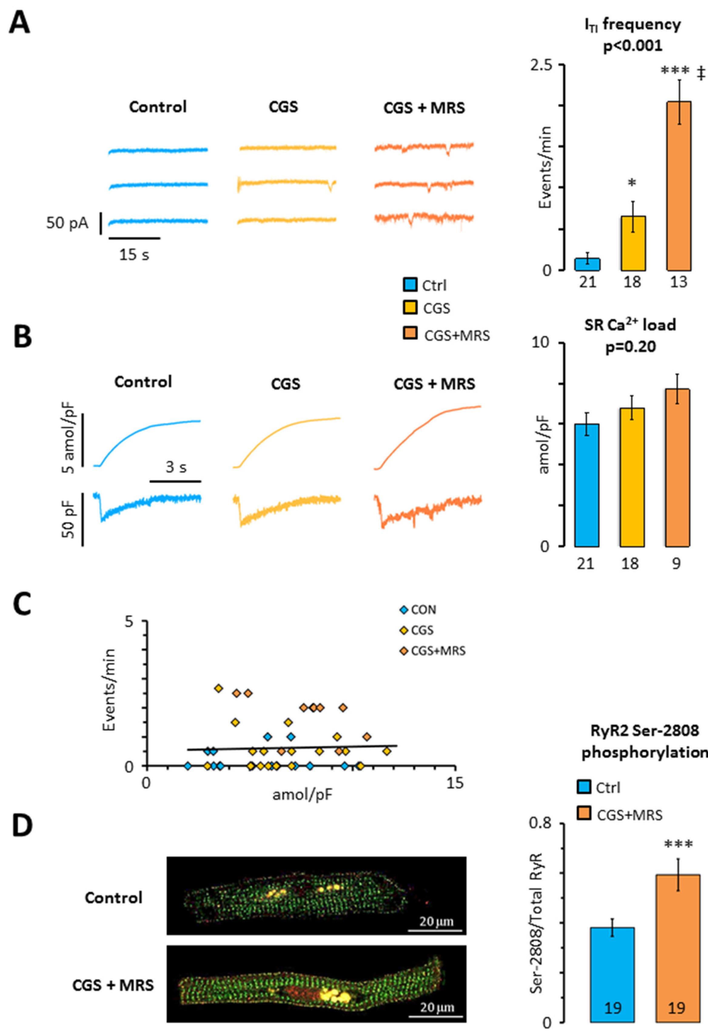 Ijms 24 04404 g003 Ijms 24 04404 g003