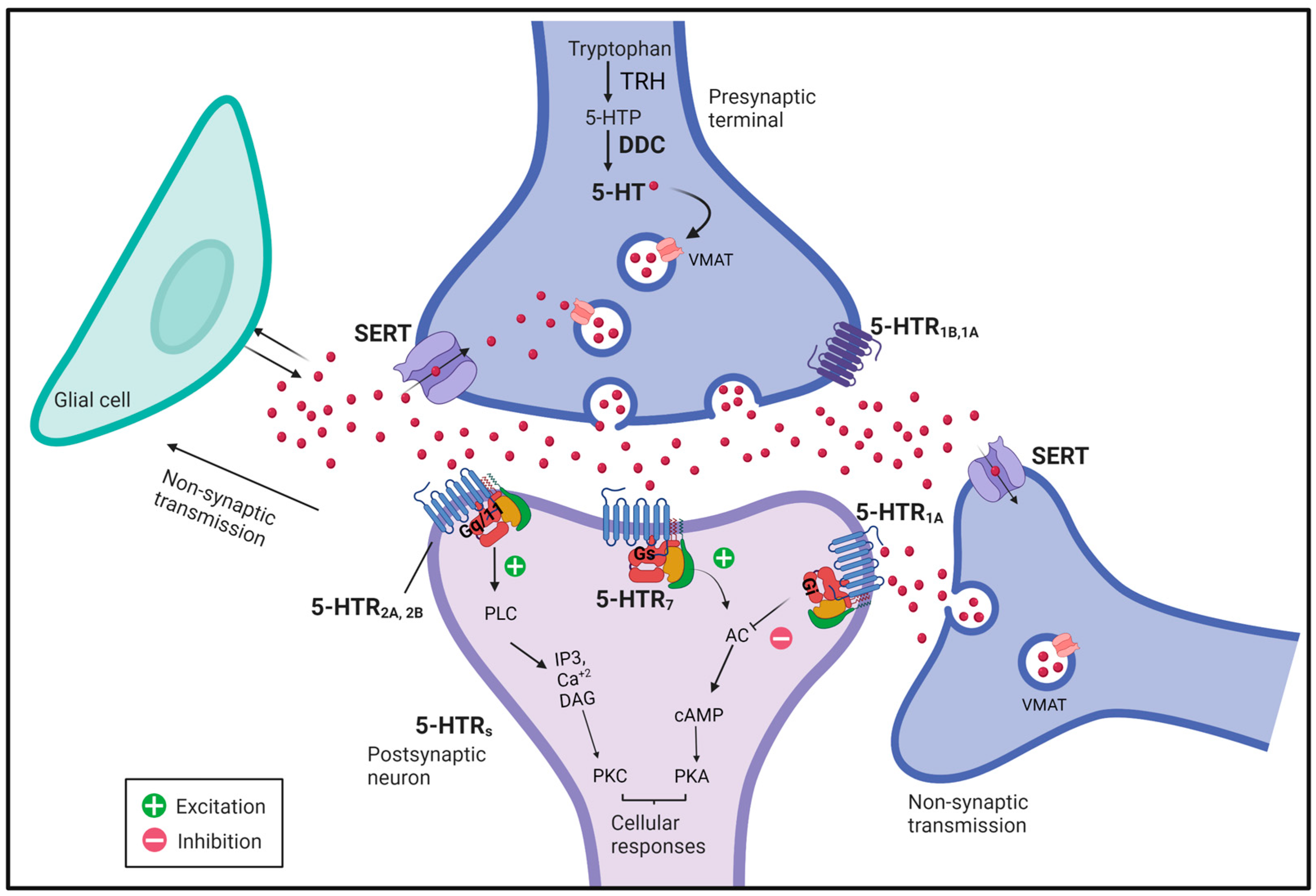Ijms 24 04407 g001 Ijms 24 04407 g001
