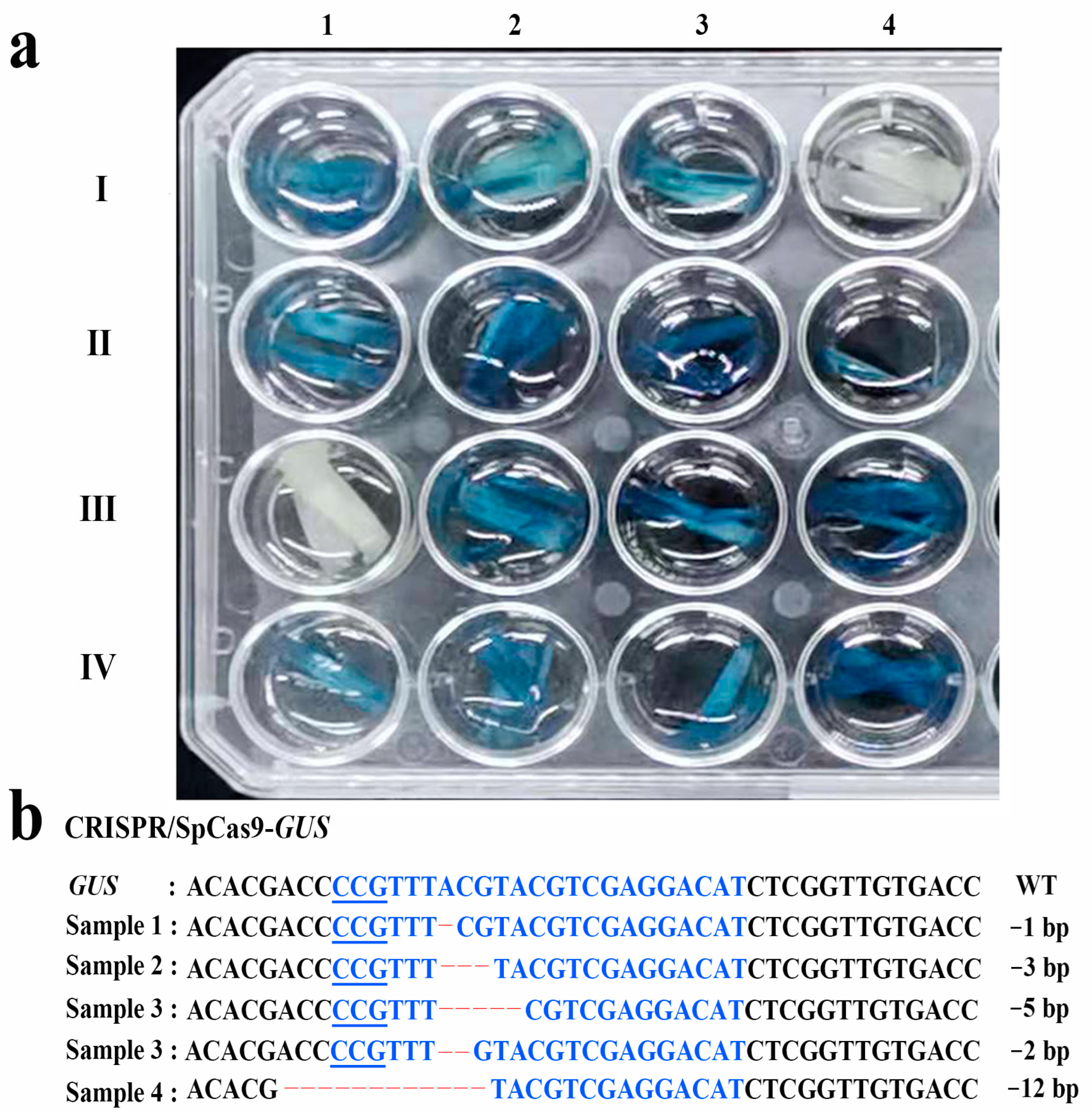 Ijms 24 04416 g001 Ijms 24 04416 g001